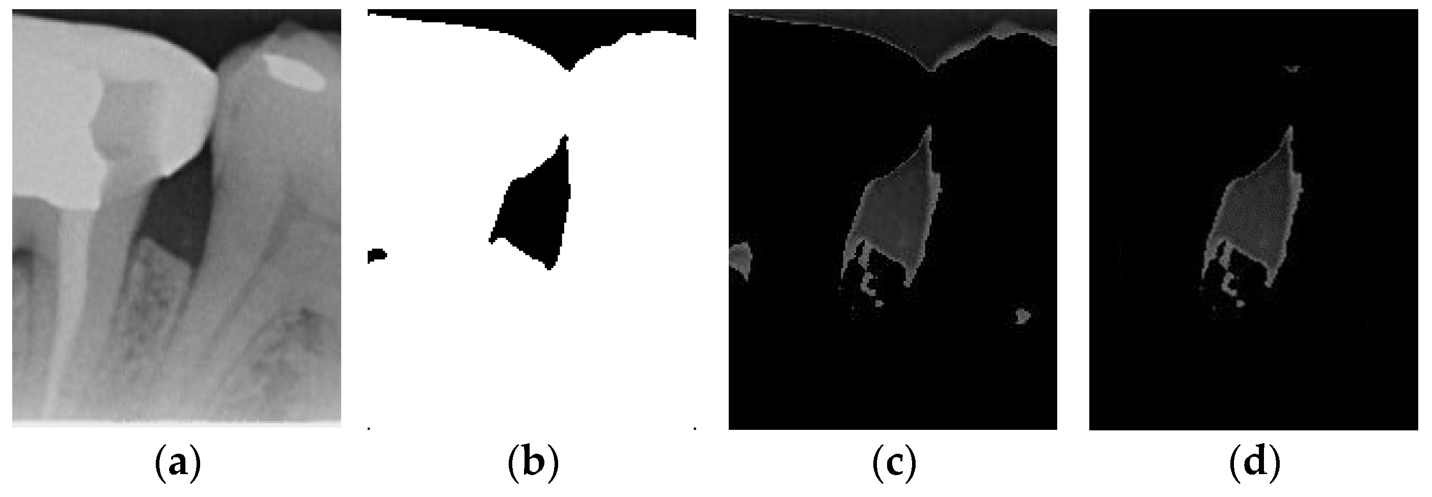 Bioengineering 12 00043 g004