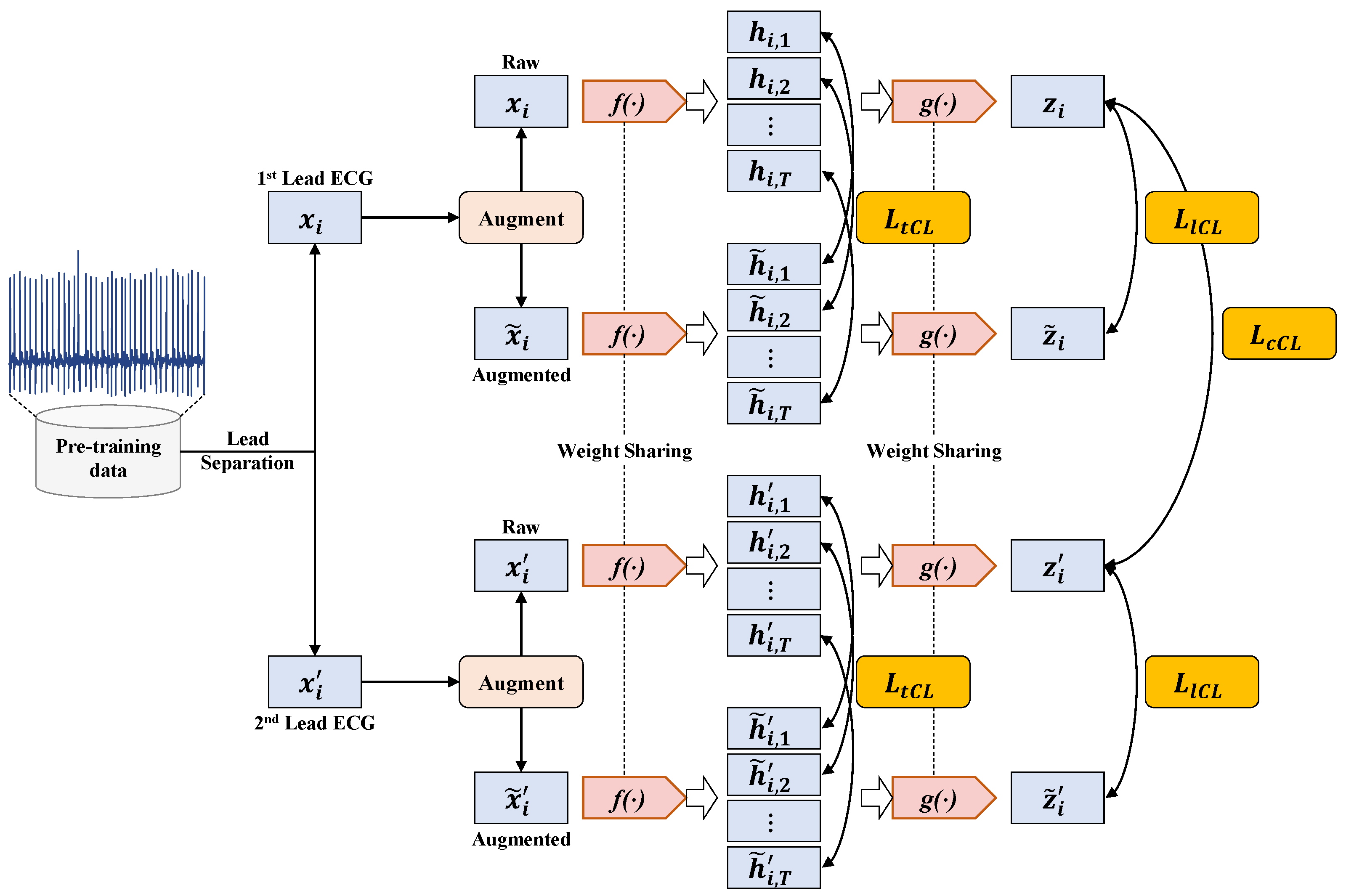 Bioengineering 12 00044 g005