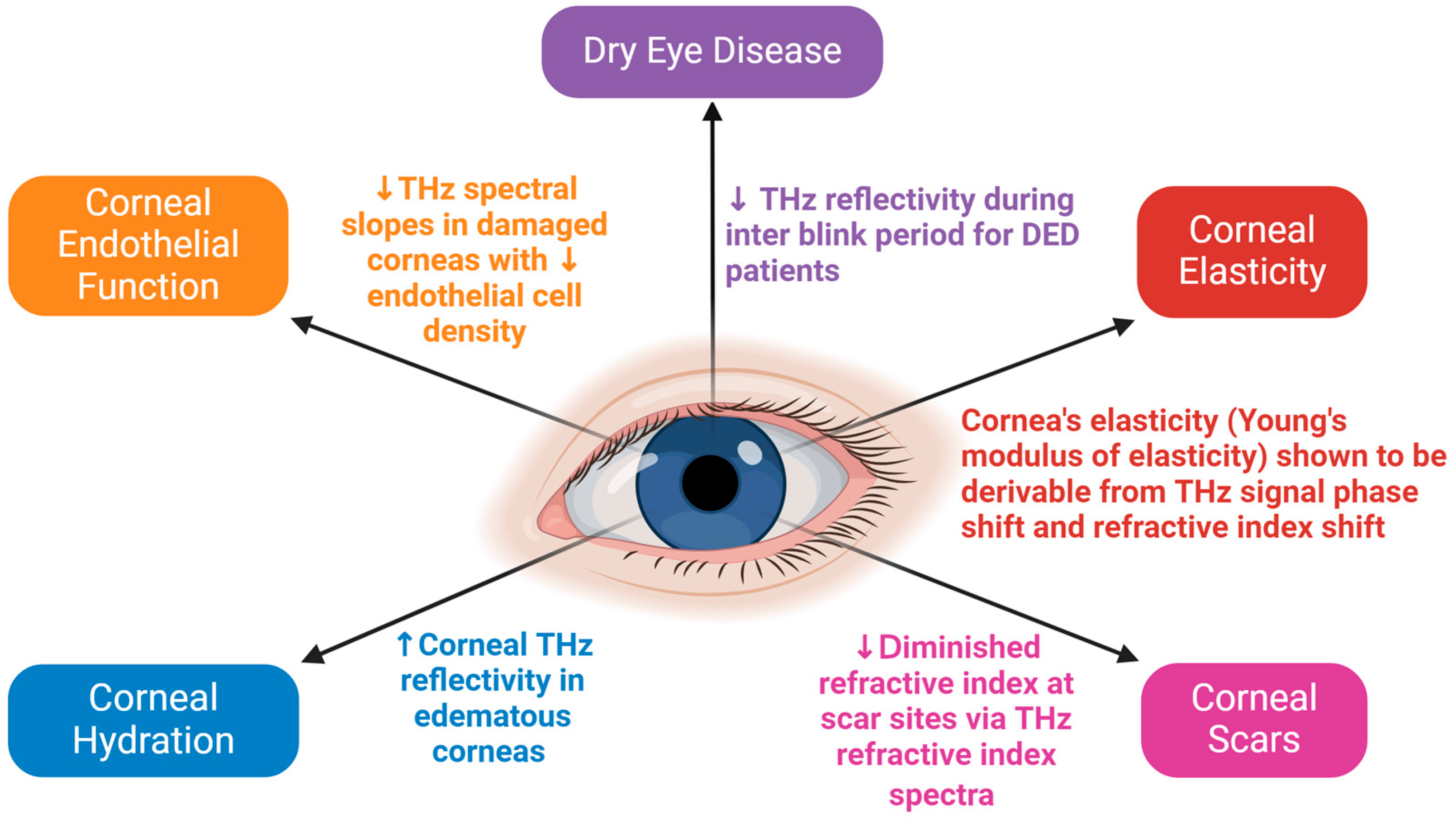 Bioengineering 12 00045 g006 Bioengineering 12 00045 g006