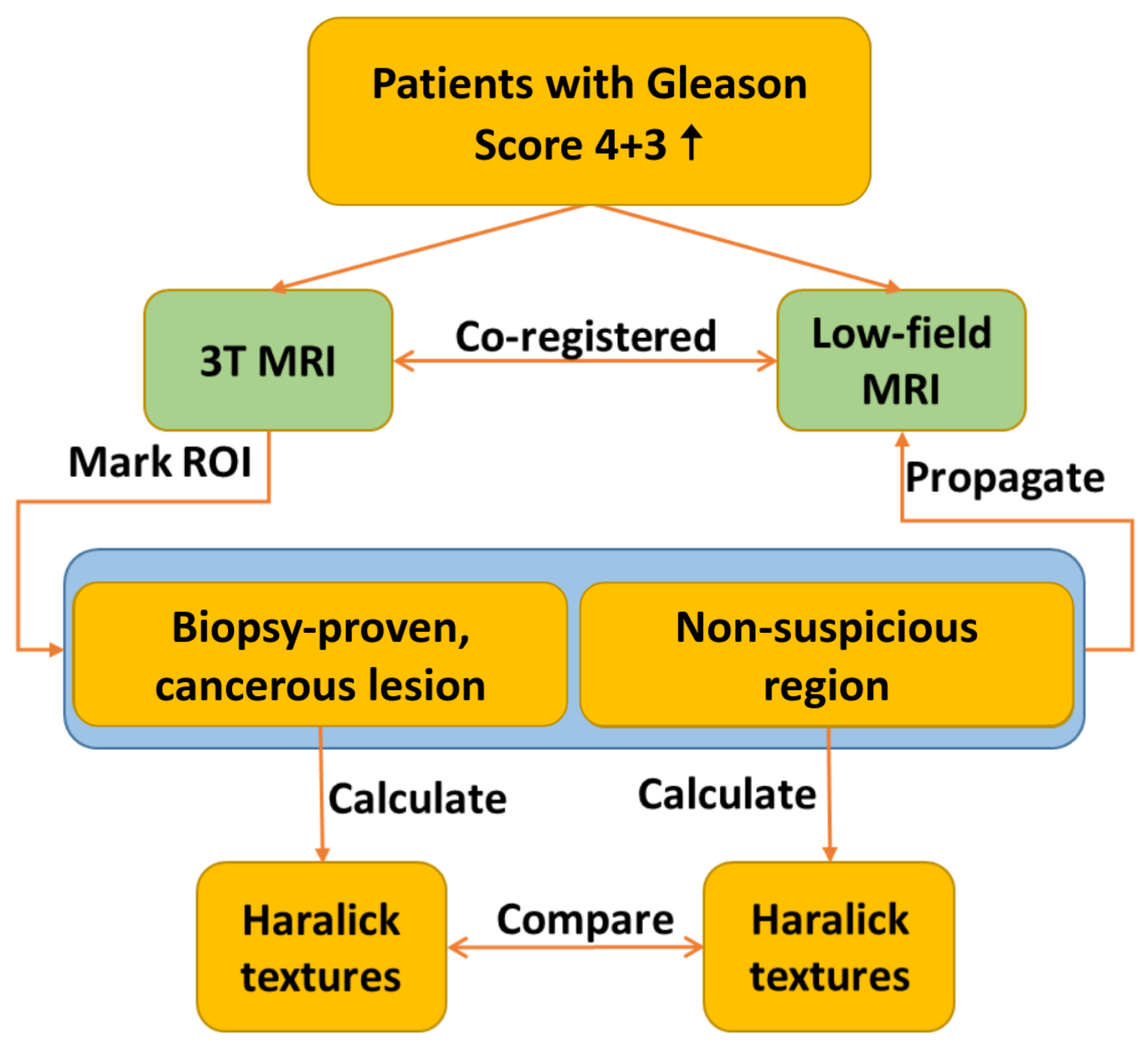 Bioengineering 12 00047 g001