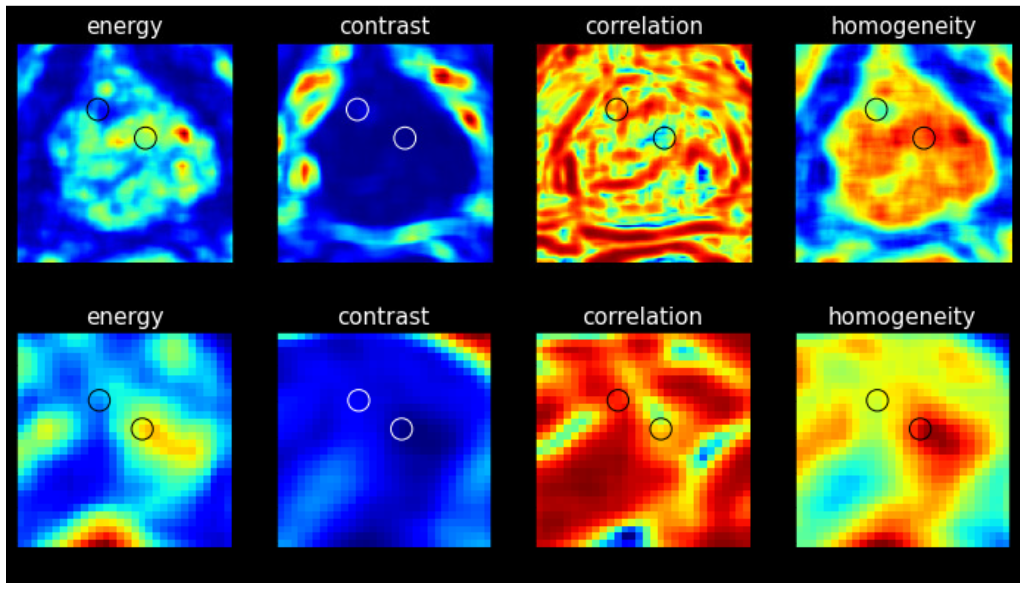 Bioengineering 12 00047 g003