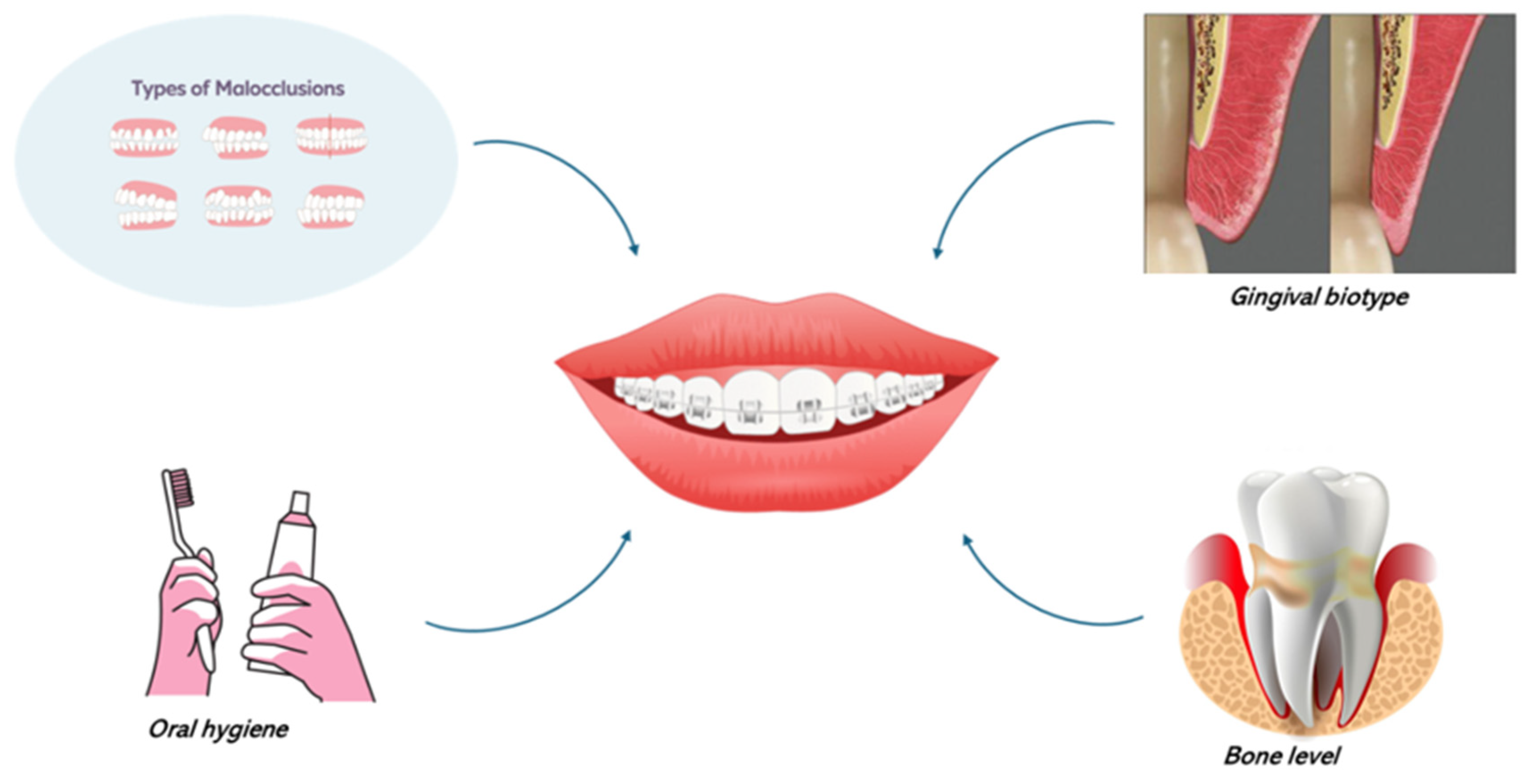 Bioengineering 12 00049 g003