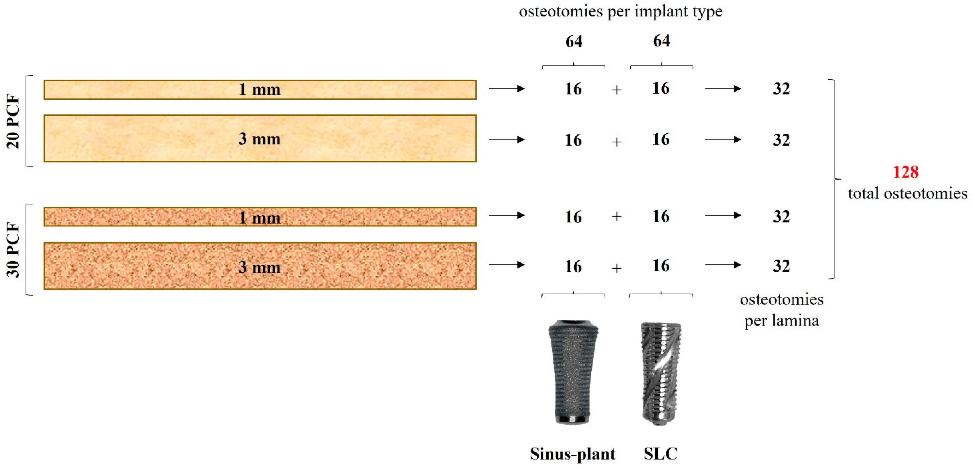 Bioengineering 12 00053 g002