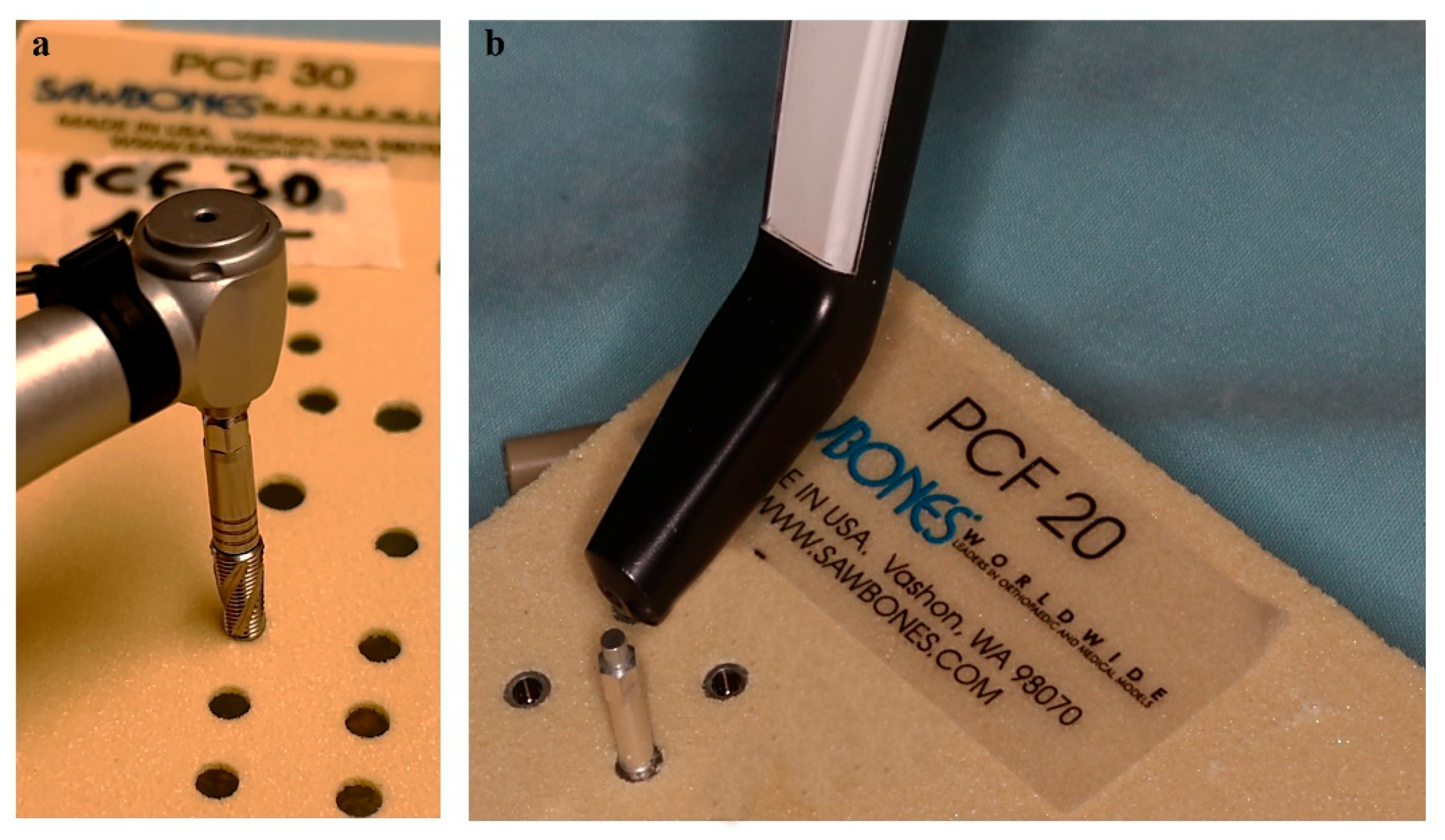 Bioengineering 12 00053 g003