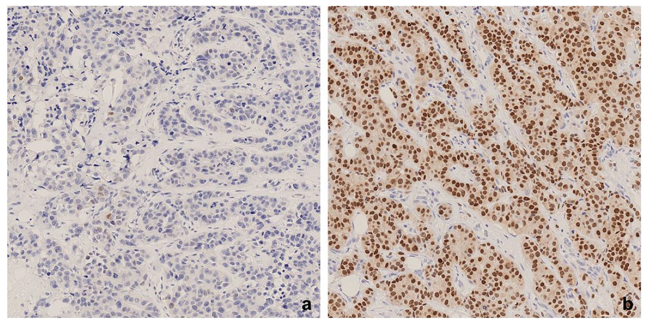 Bioengineering 12 00054 g001