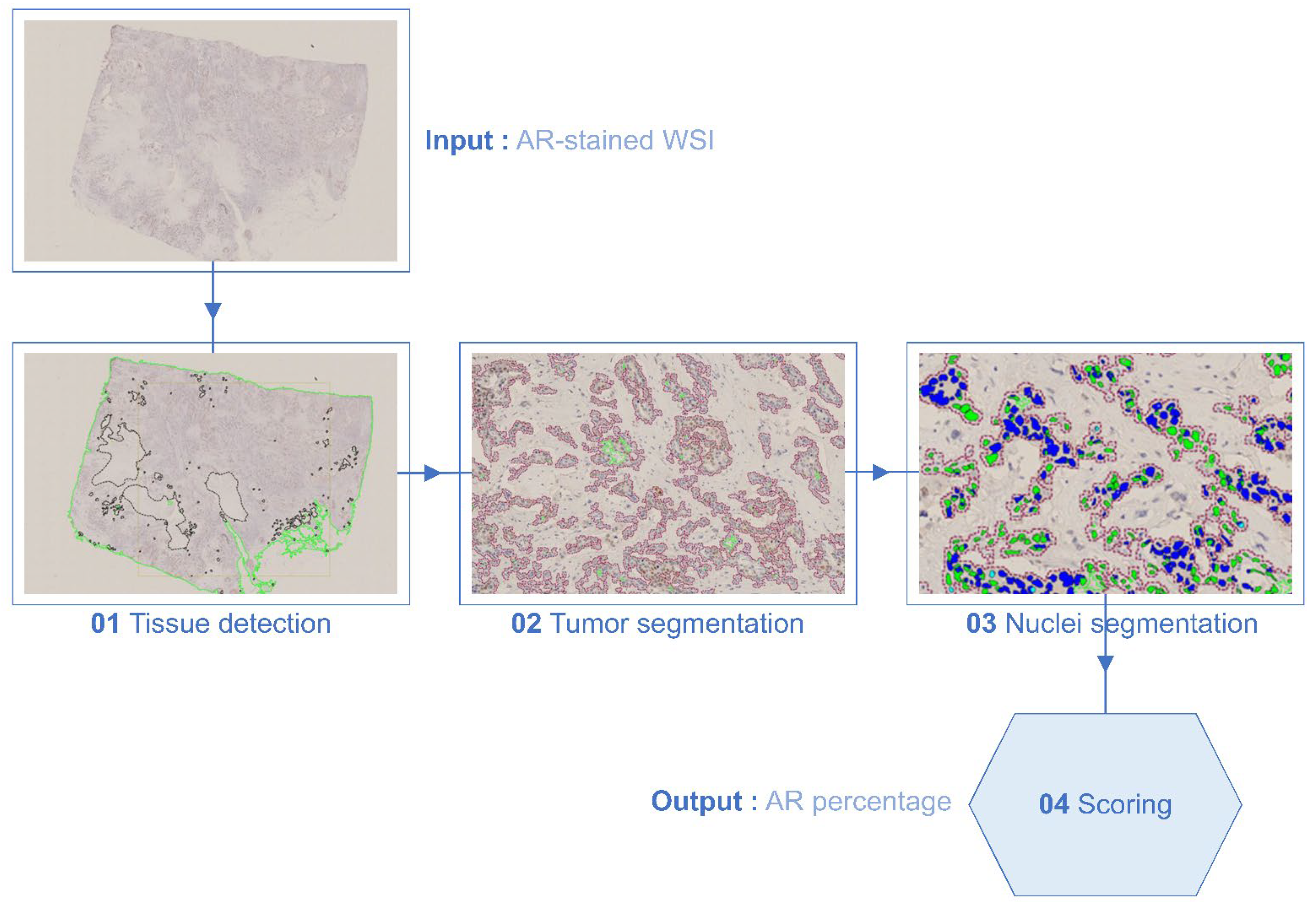 Bioengineering 12 00054 g002