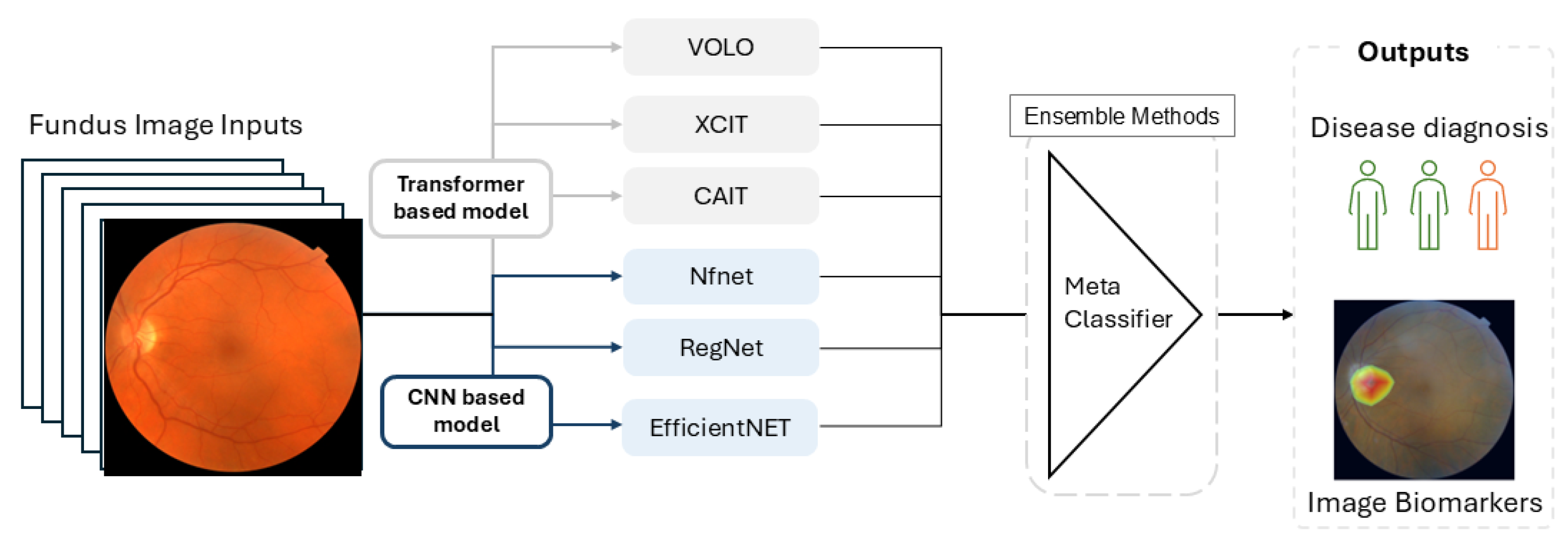Bioengineering 12 00057 g003