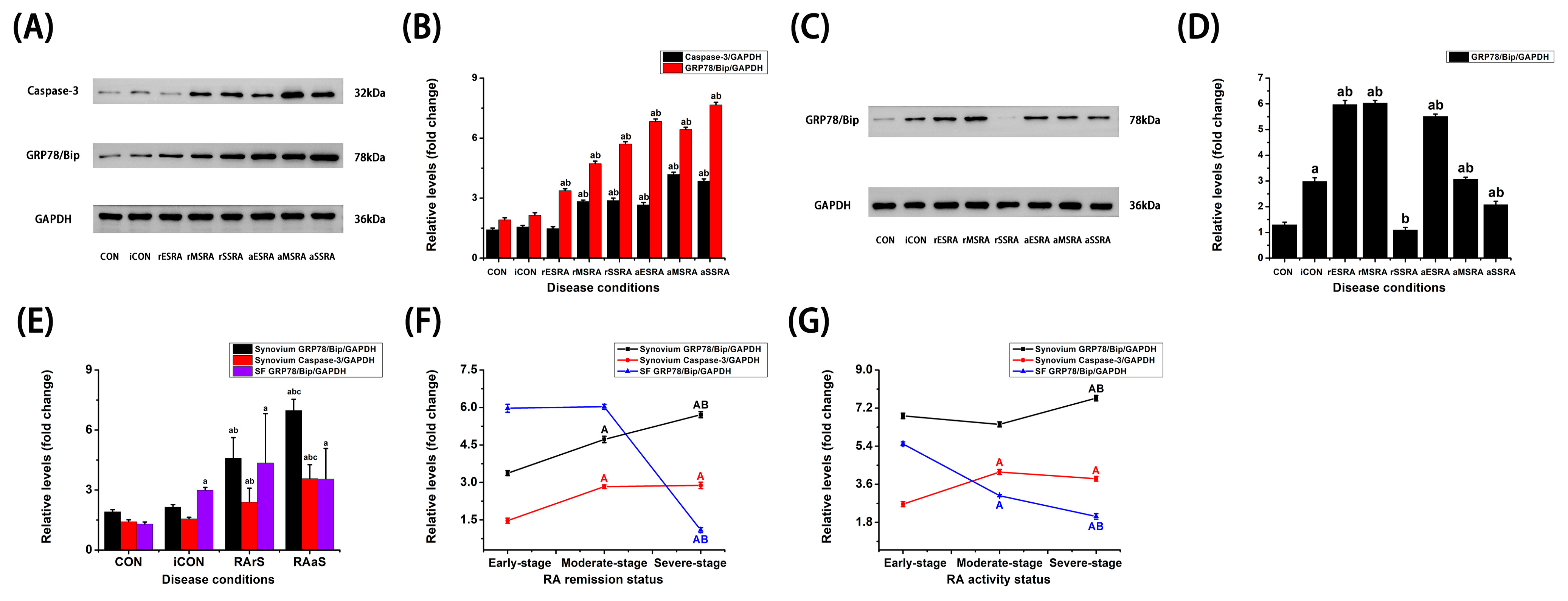 Bioengineering 12 00058 g003