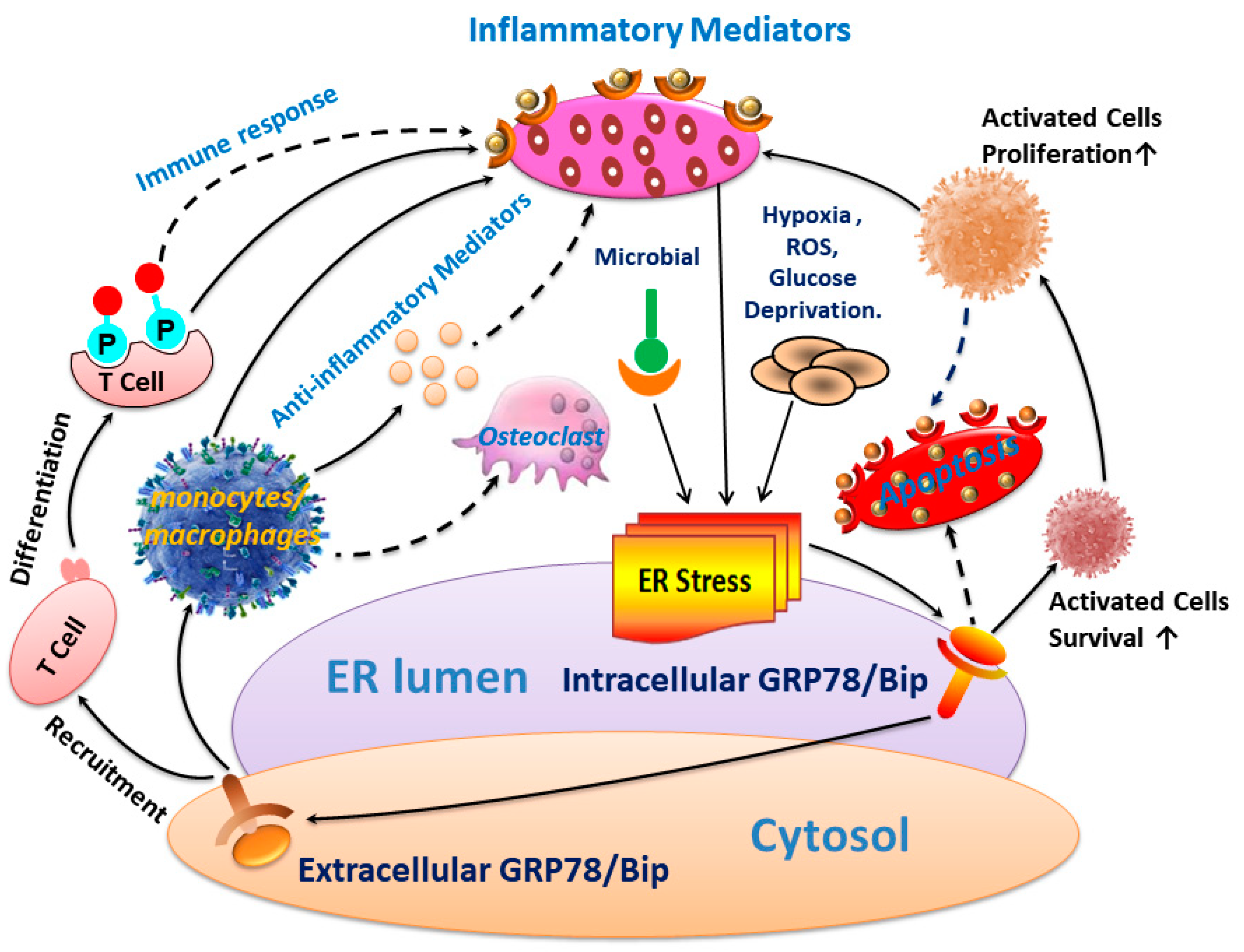 Bioengineering 12 00058 g005