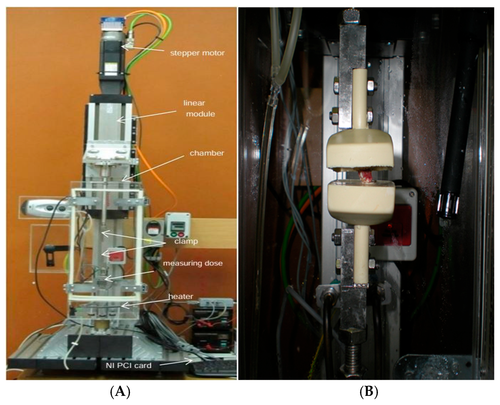 Bioengineering 12 00061 g003