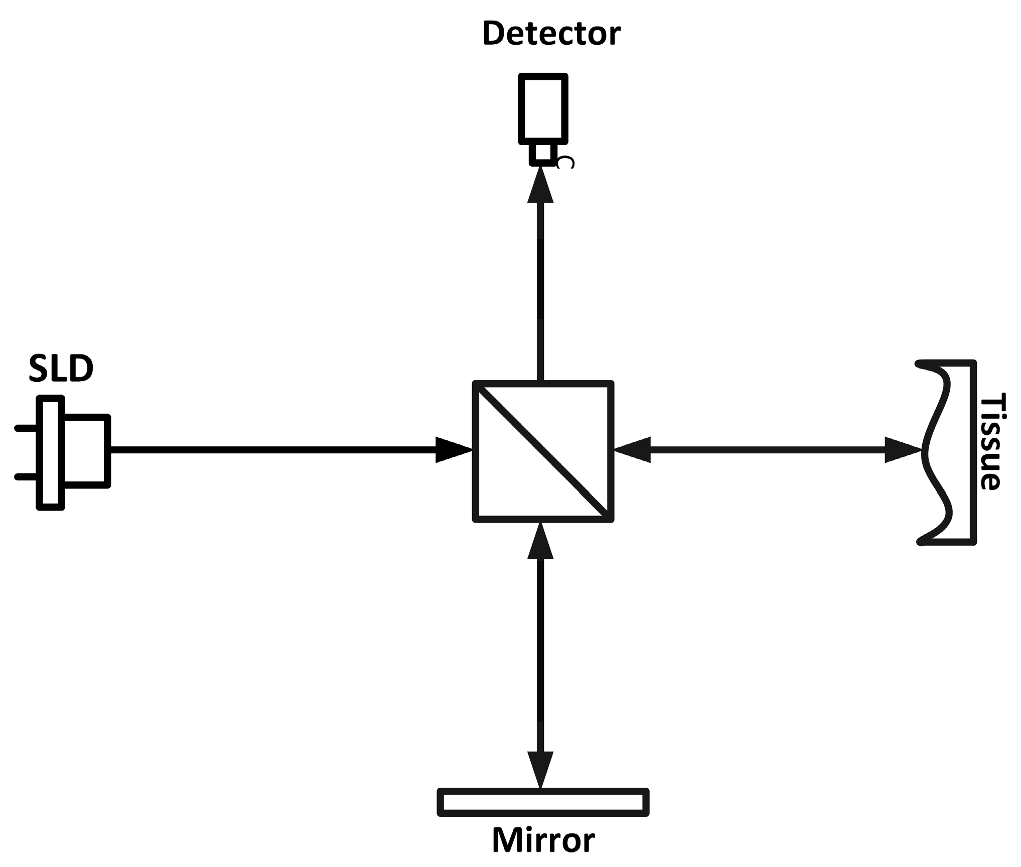 Bioengineering 12 00065 g001