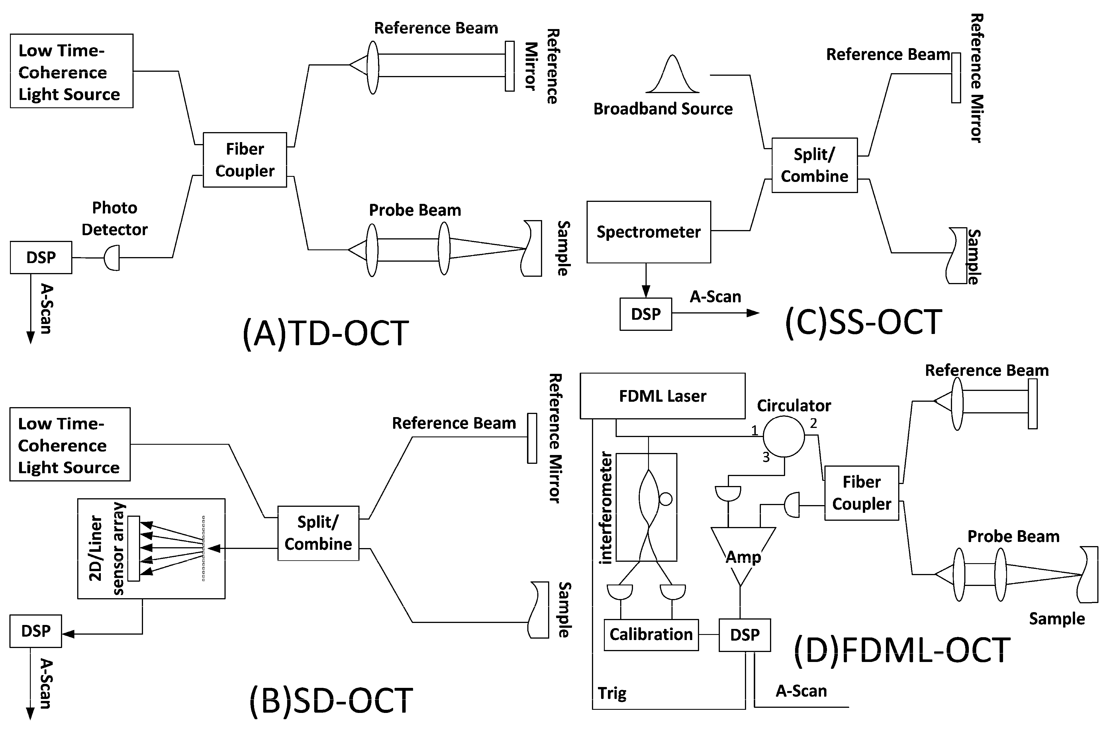 Bioengineering 12 00065 g002
