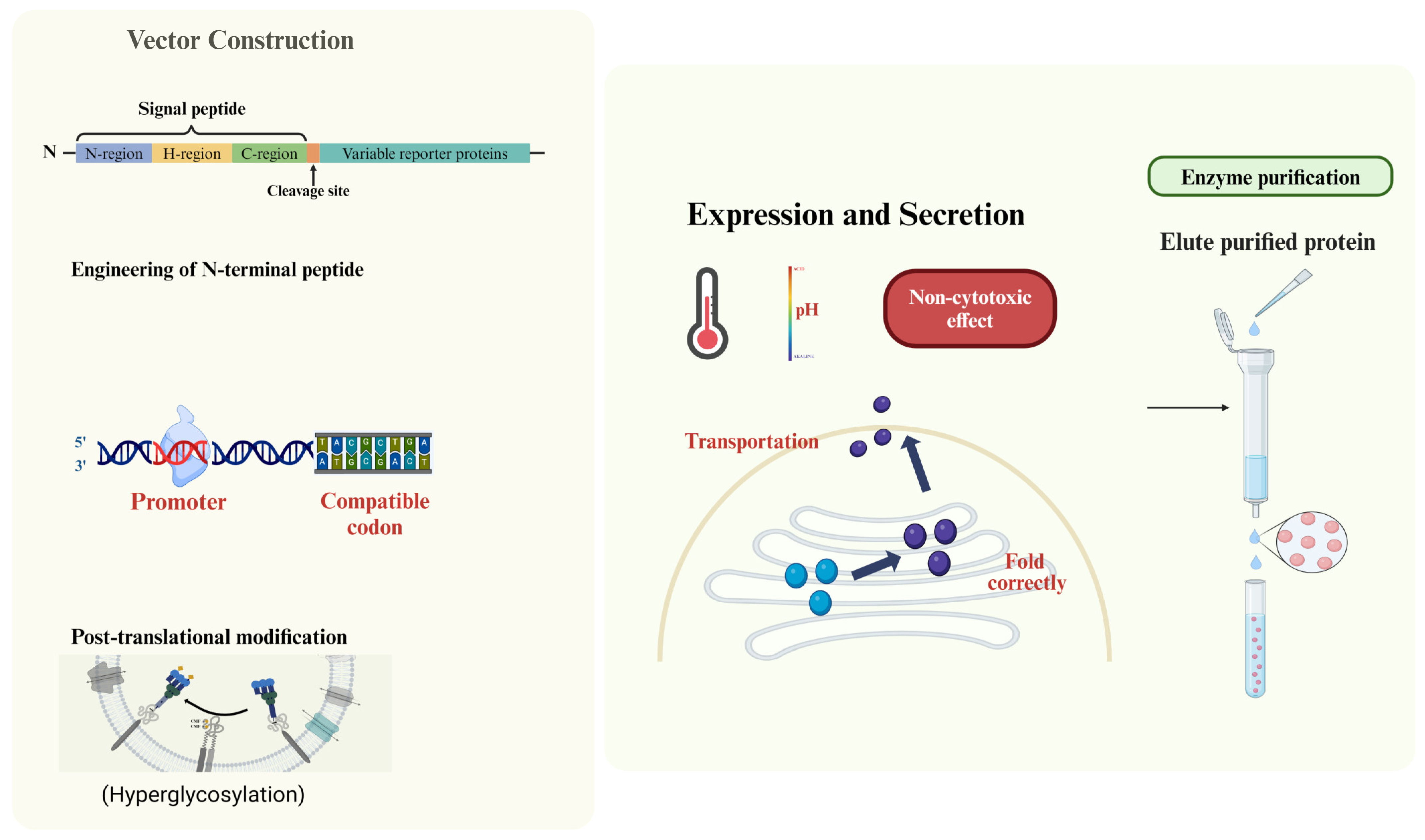 Bioengineering 12 00068 g001 Bioengineering 12 00068 g001