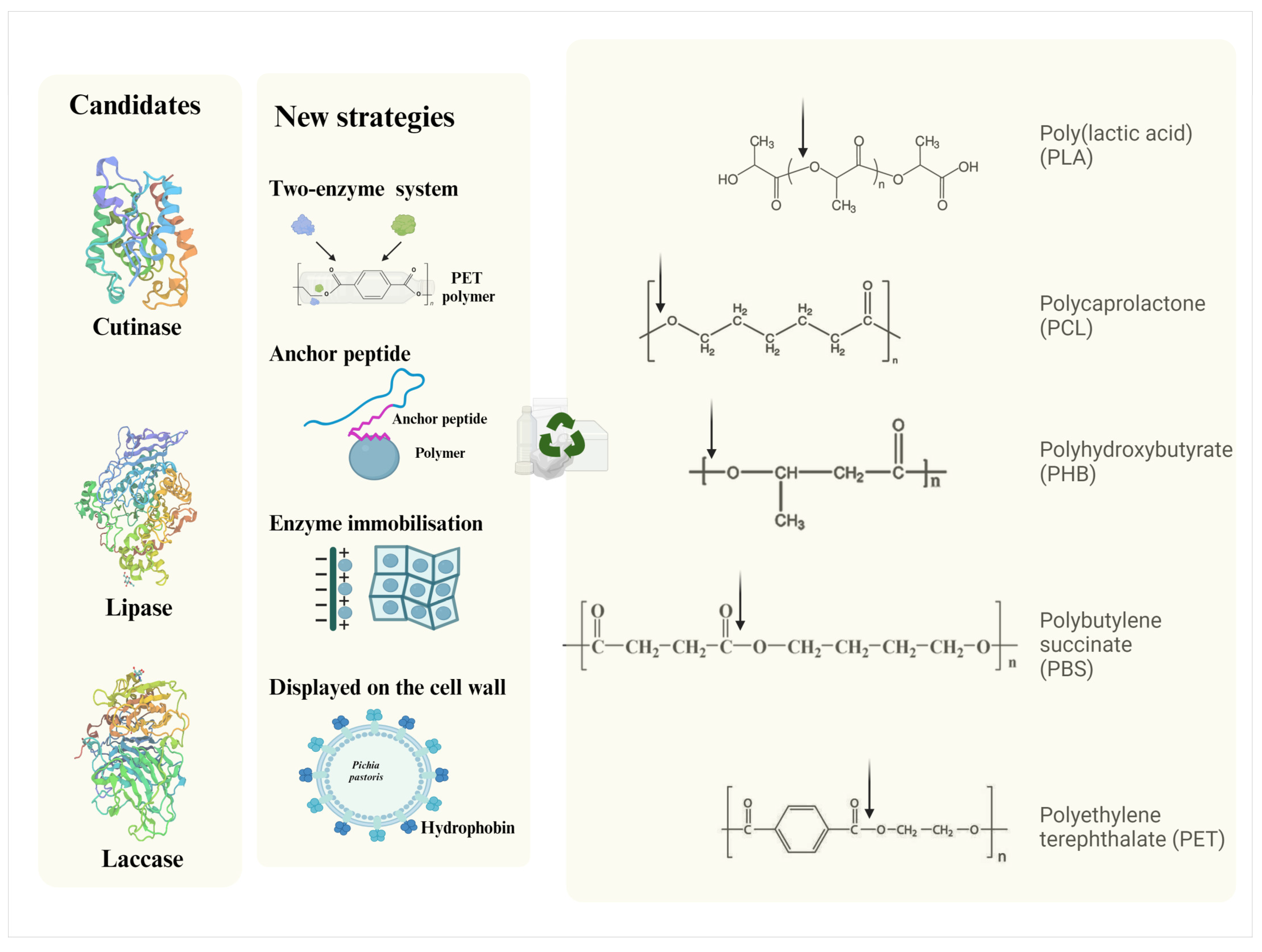 Bioengineering 12 00068 g002 Bioengineering 12 00068 g002