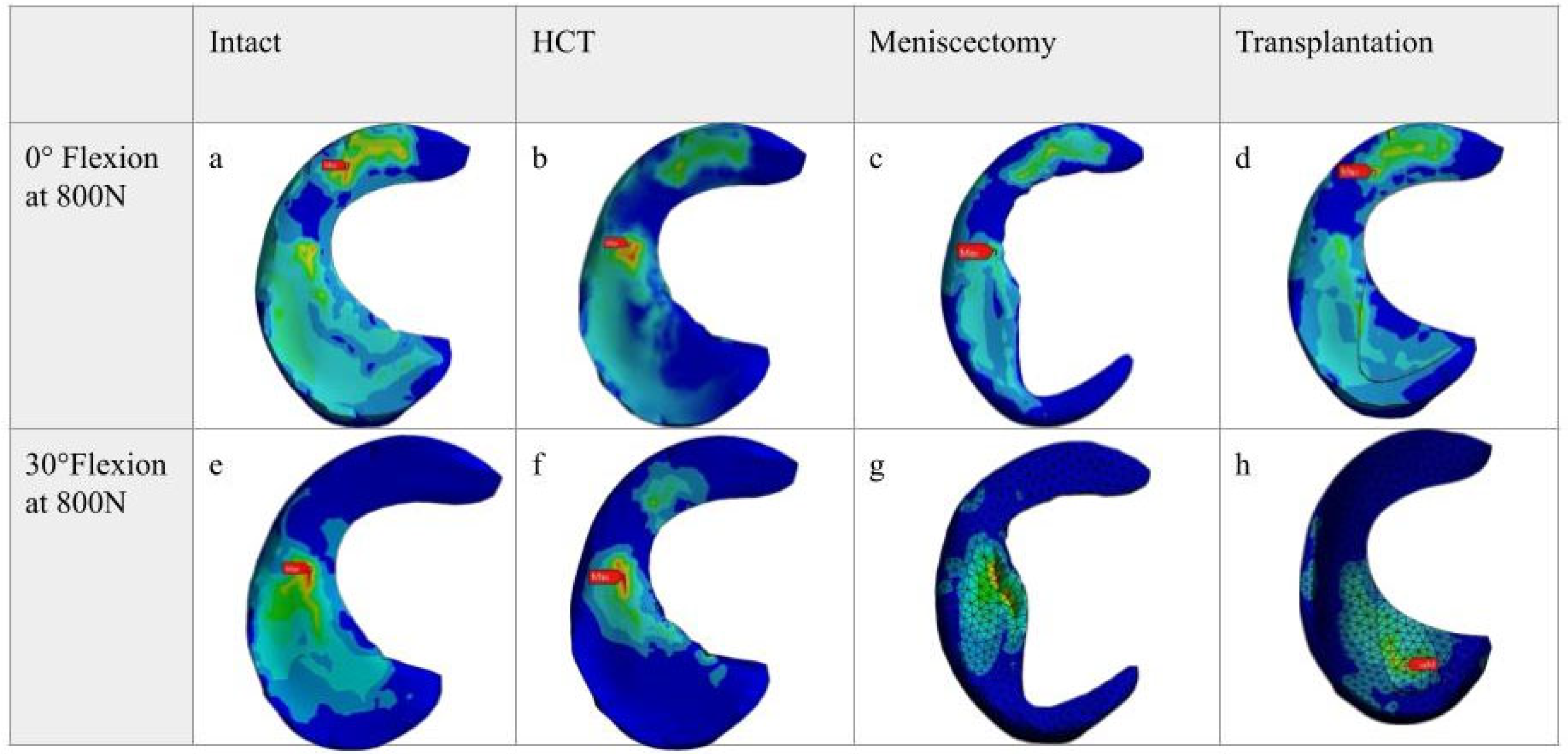 Bioengineering 12 00074 g003