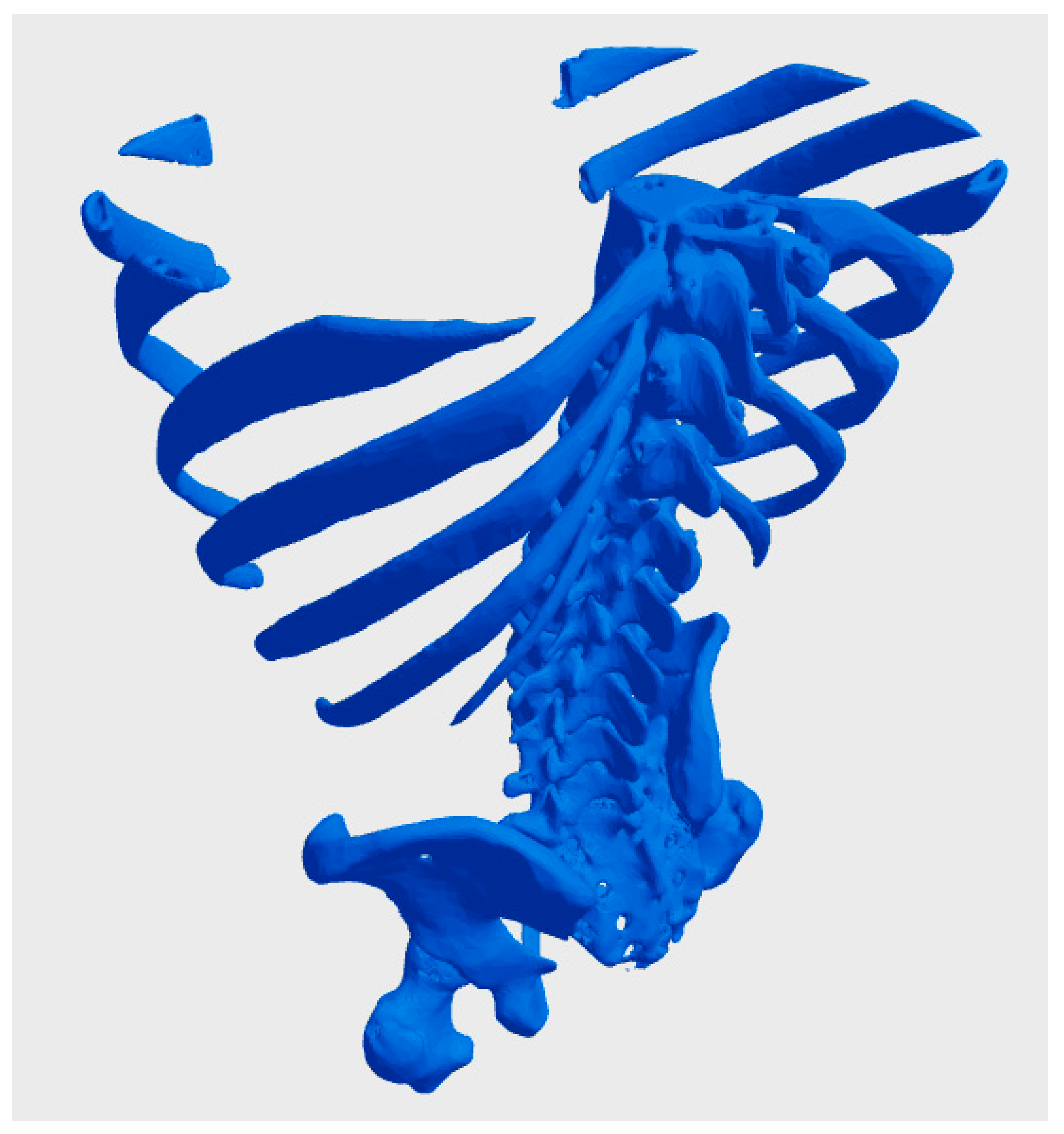 Bioengineering 12 00076 g002