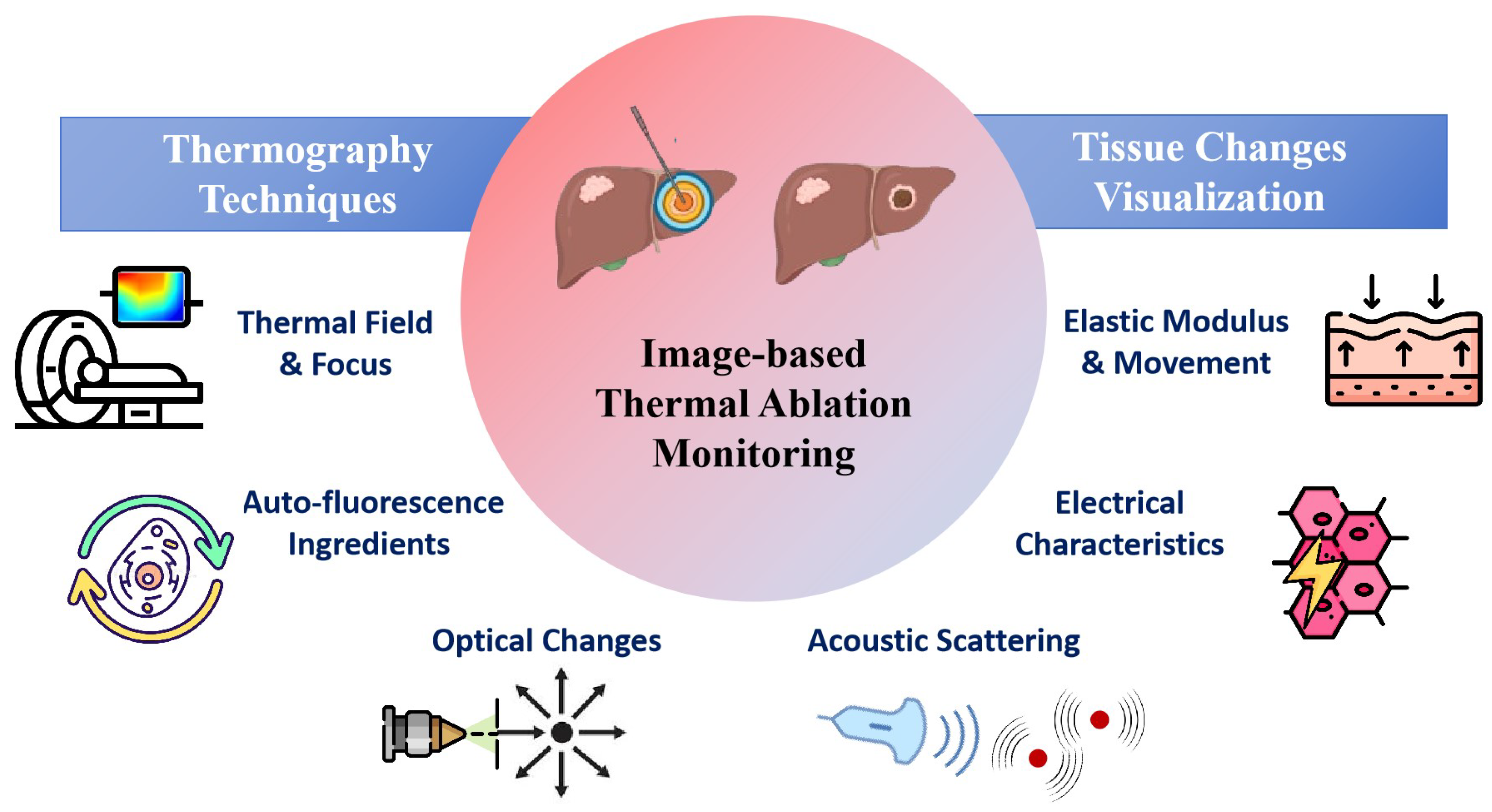 Bioengineering 12 00078 g001