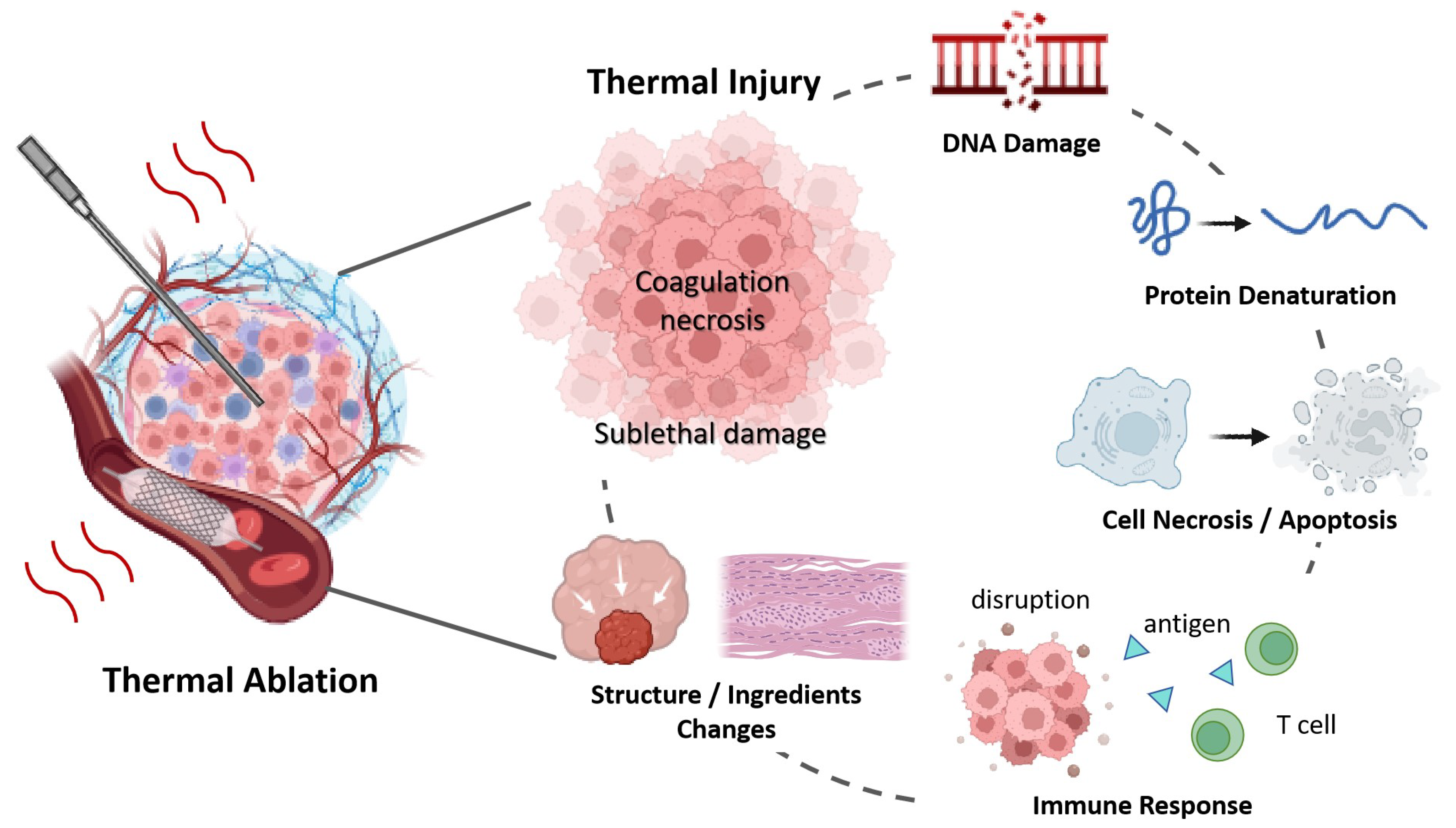 Bioengineering 12 00078 g004