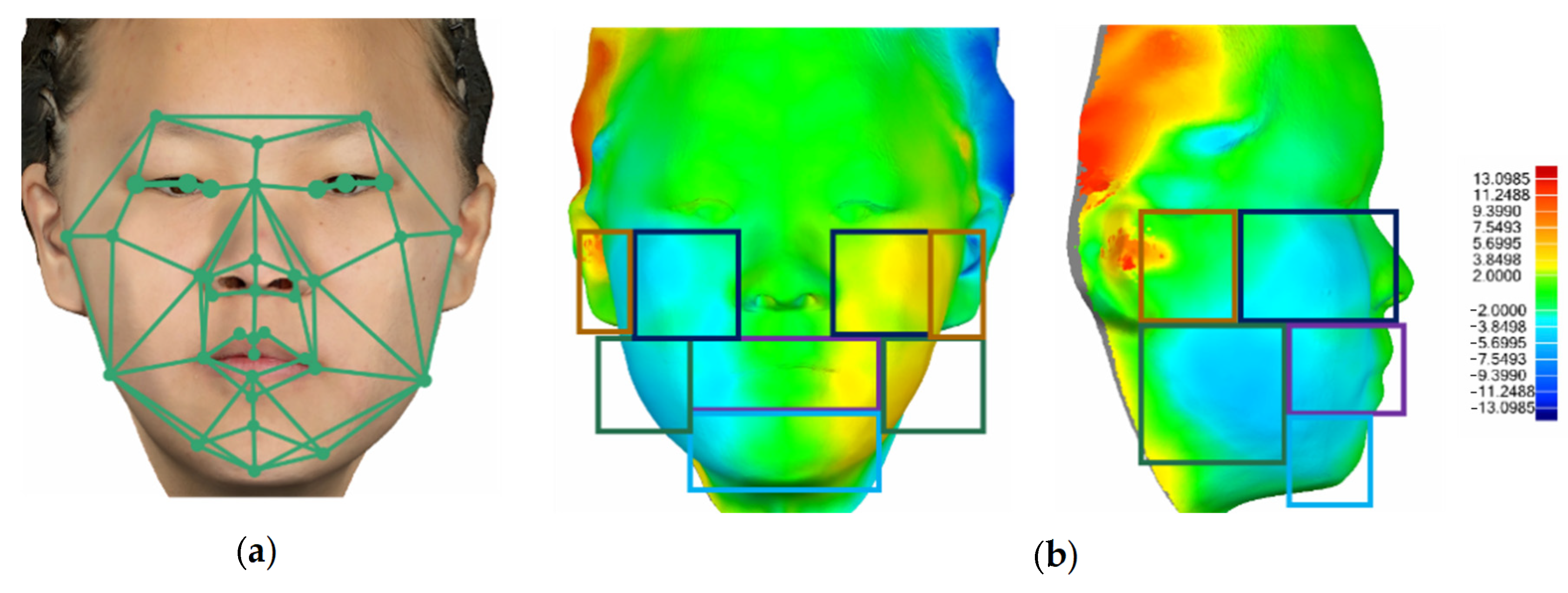 Bioengineering 12 00079 g003