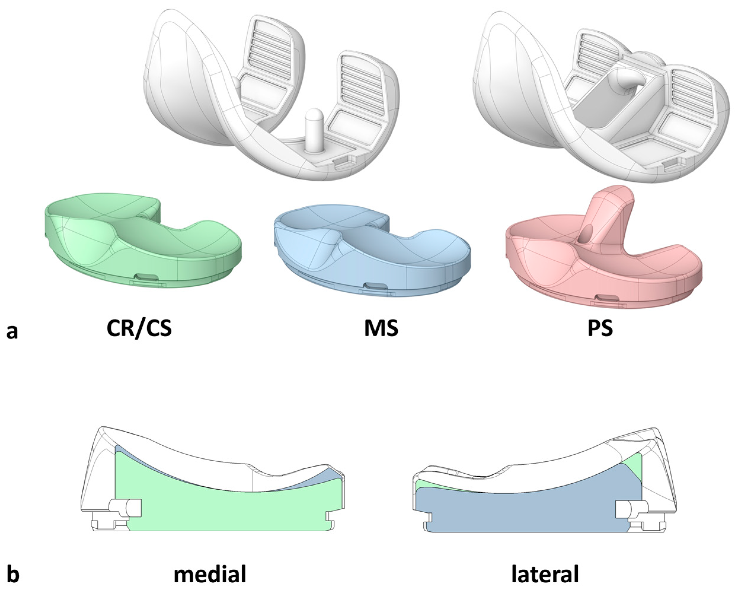 Bioengineering 12 00087 g001