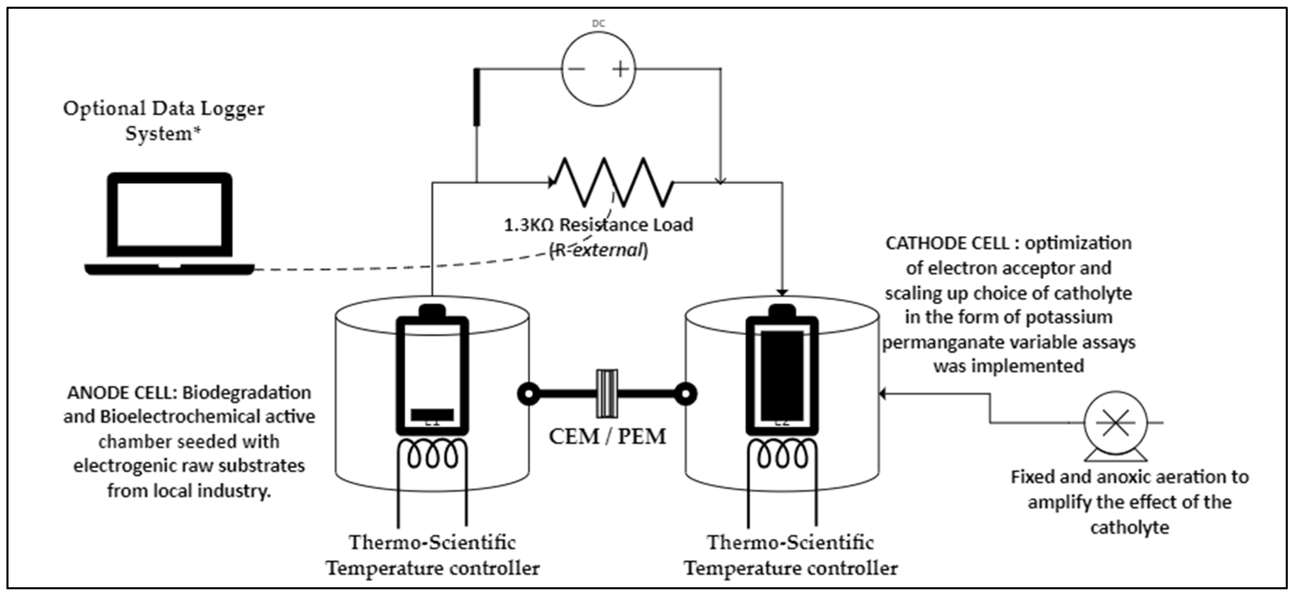 Bioengineering 12 00088 g002 Bioengineering 12 00088 g002