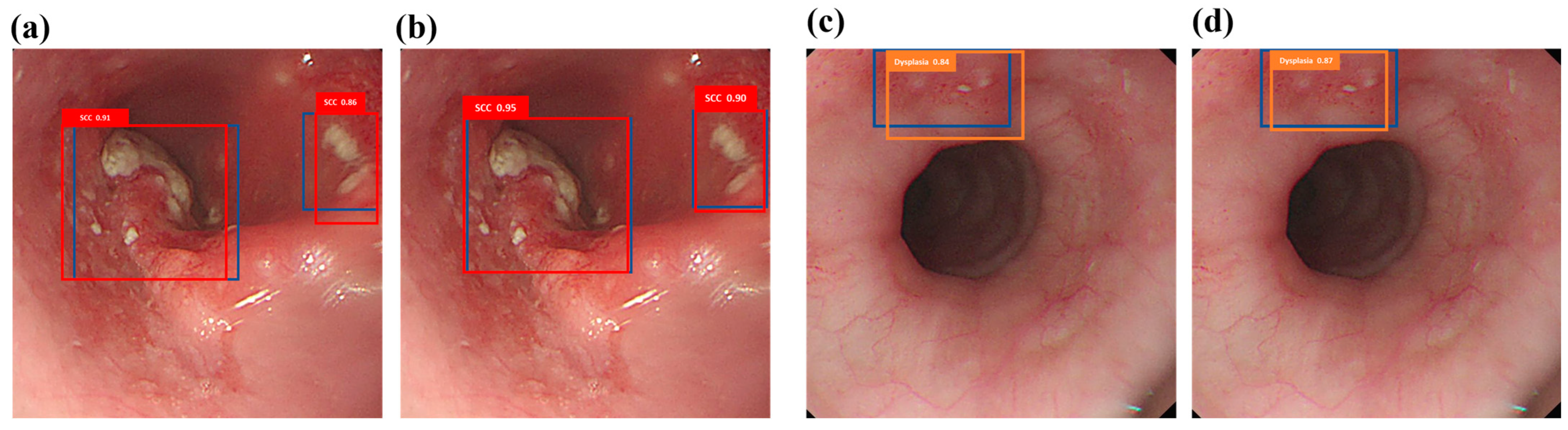 Bioengineering 12 00090 g002