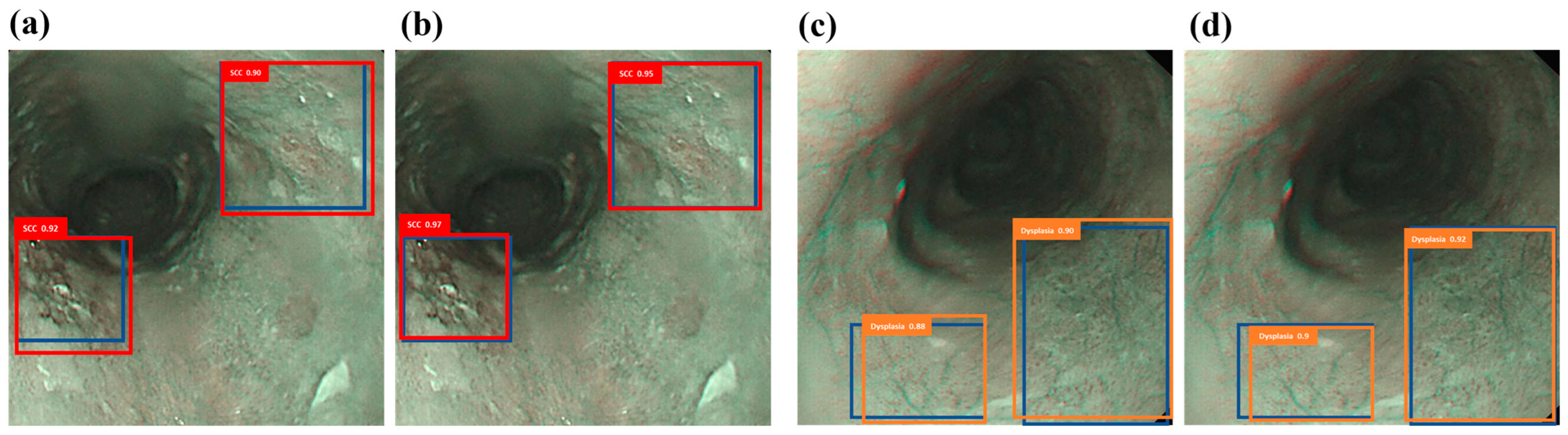 Bioengineering 12 00090 g003