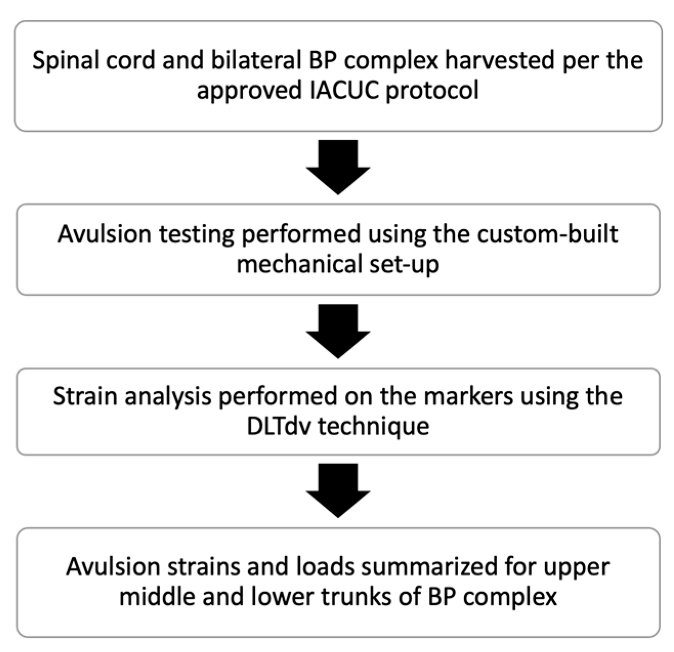 Bioengineering 12 00091 g001 Bioengineering 12 00091 g001