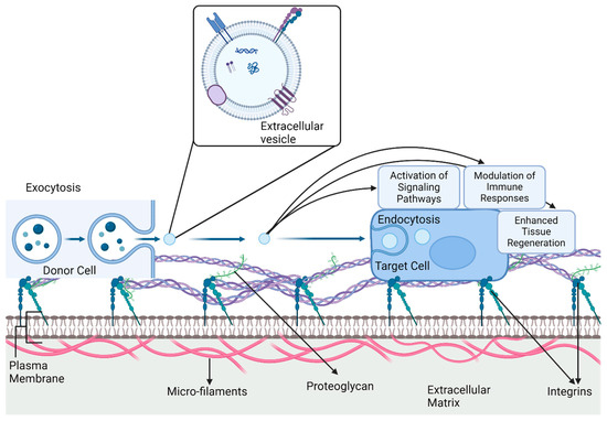 Emerging Strategies for Revascularization: Use of Cell