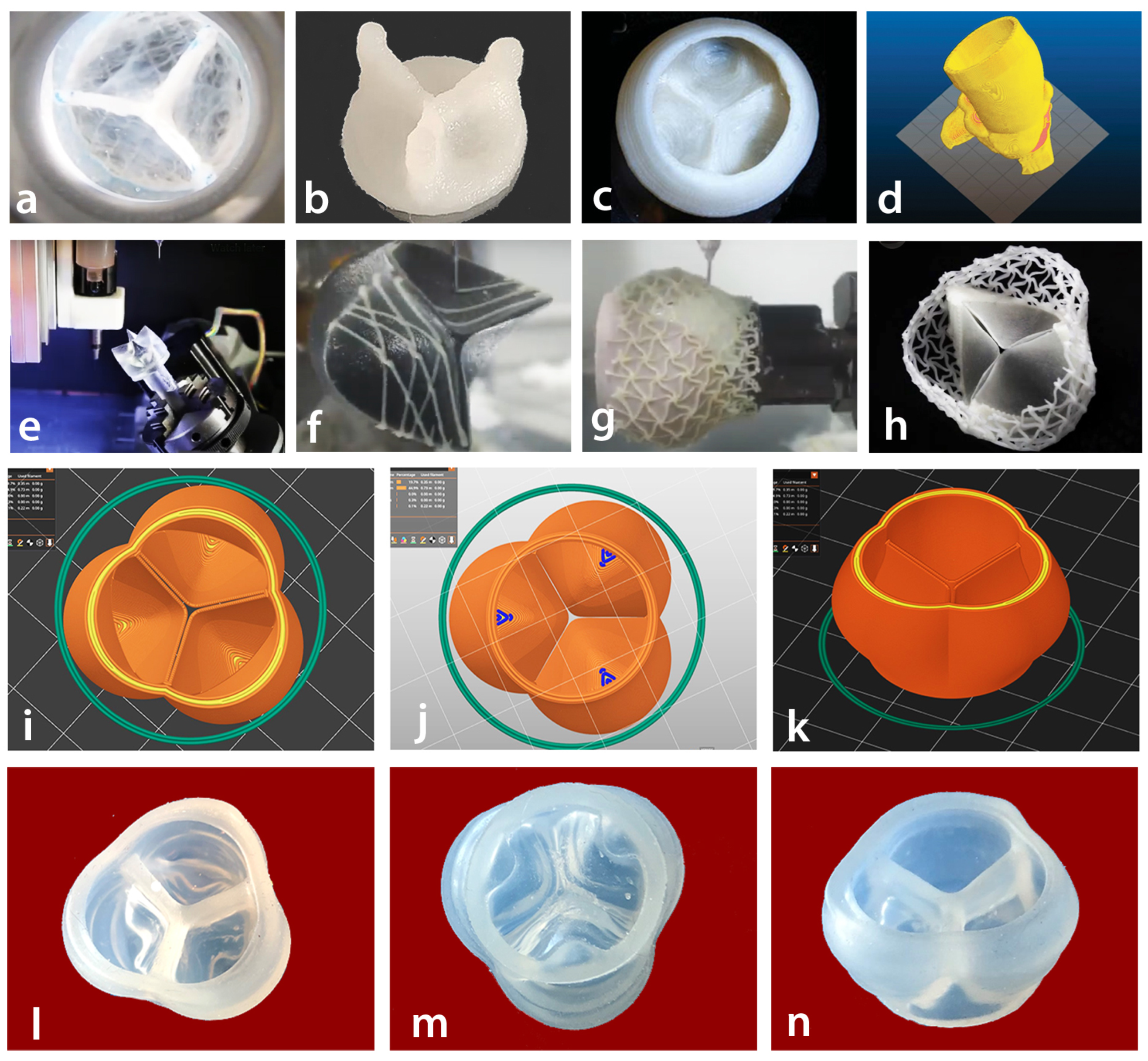 Bioengineering 12 00094 g003