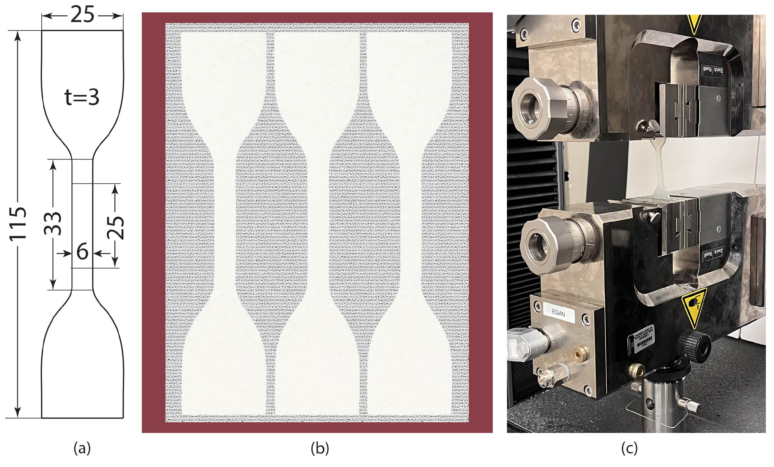 Bioengineering 12 00094 g004