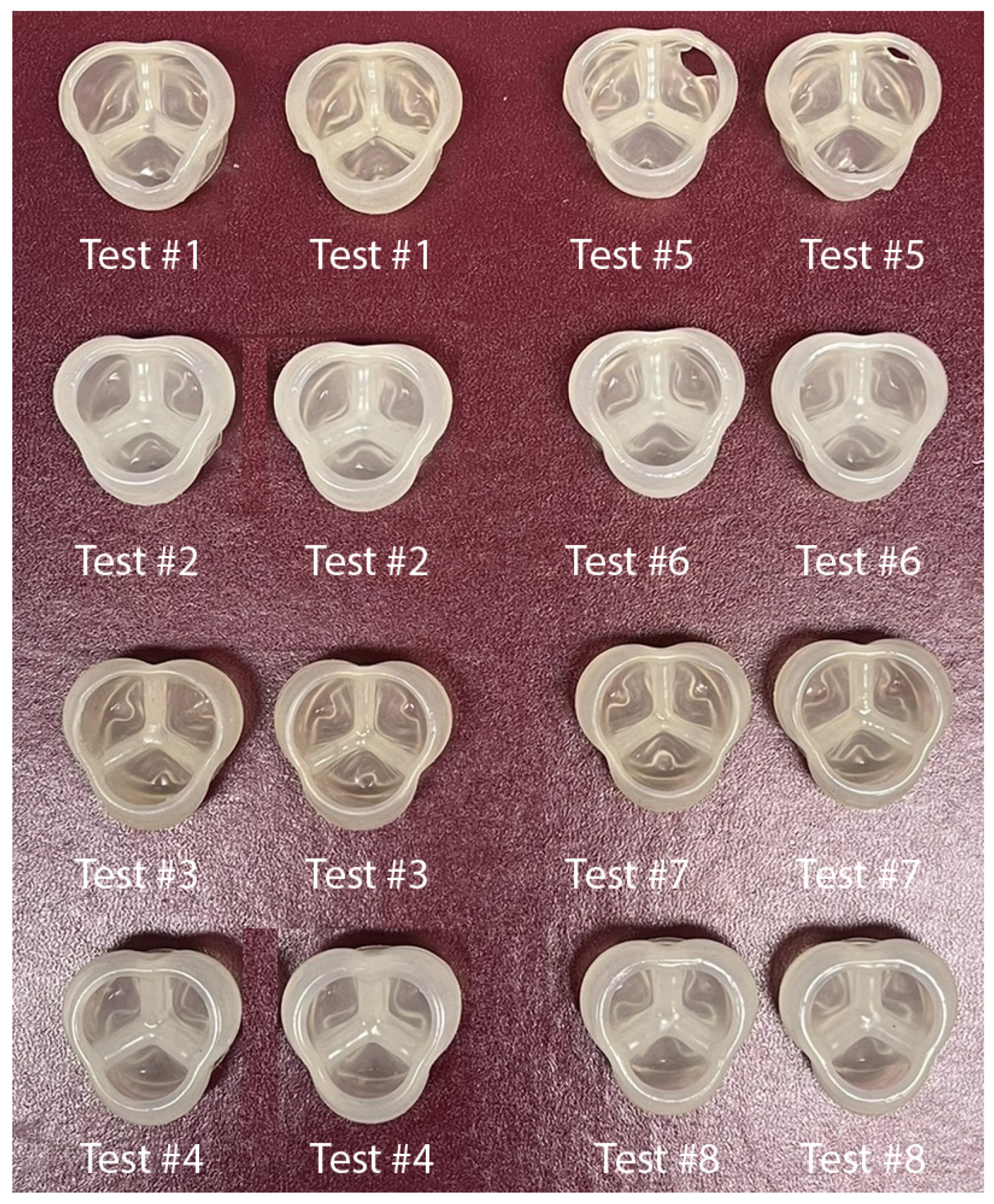 Bioengineering 12 00094 g009