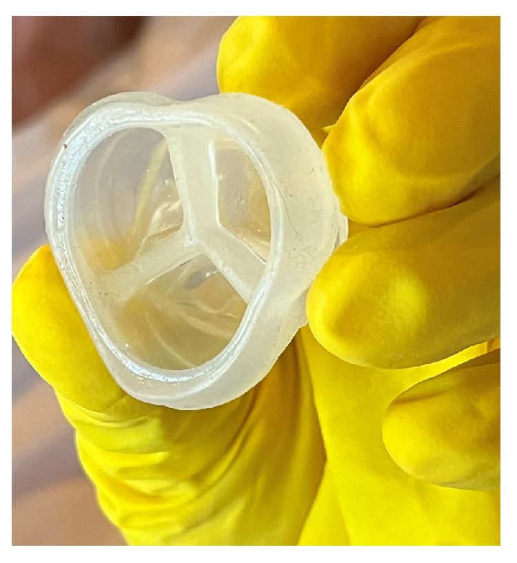 Bioengineering 12 00094 g013