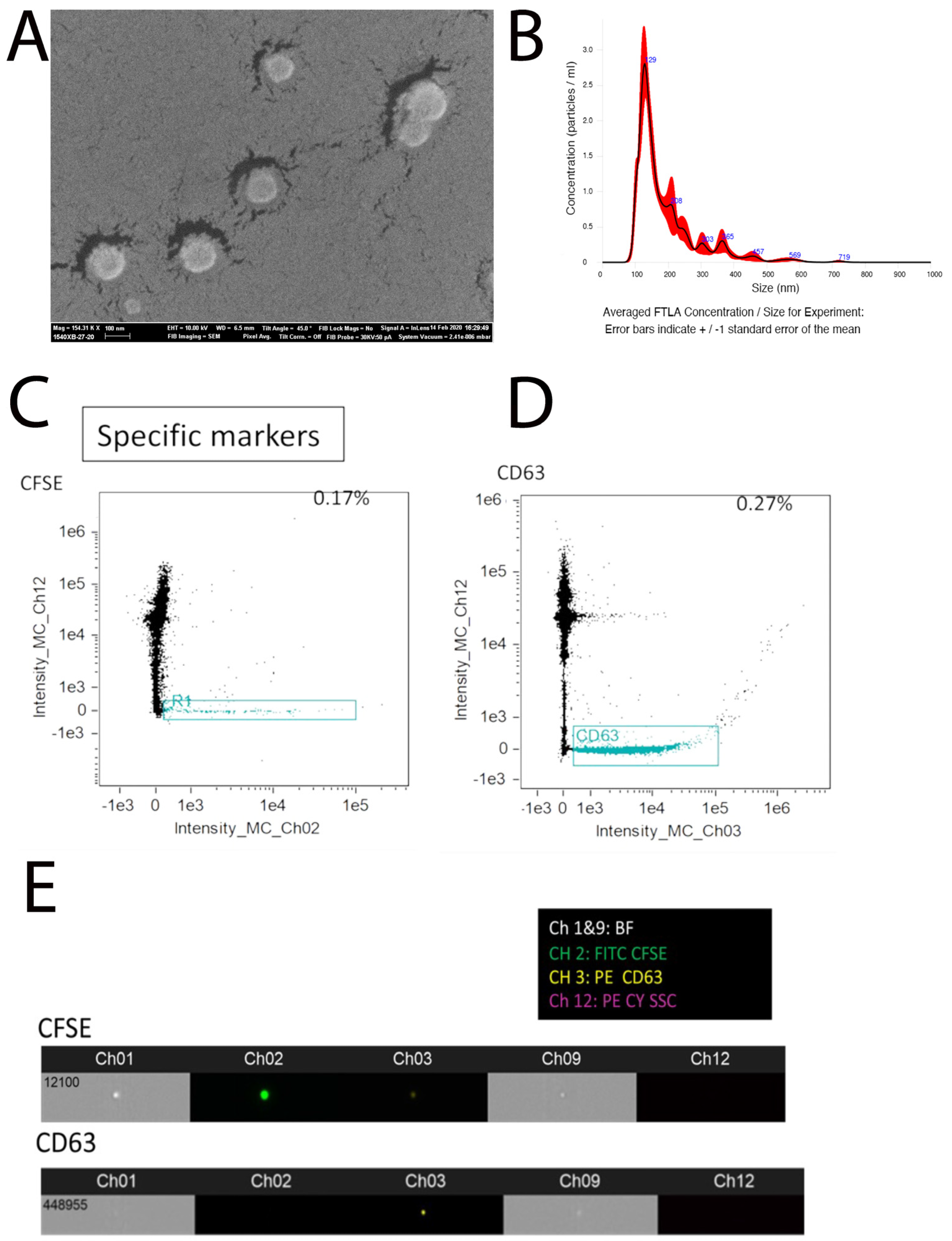 Bioengineering 12 00096 g001