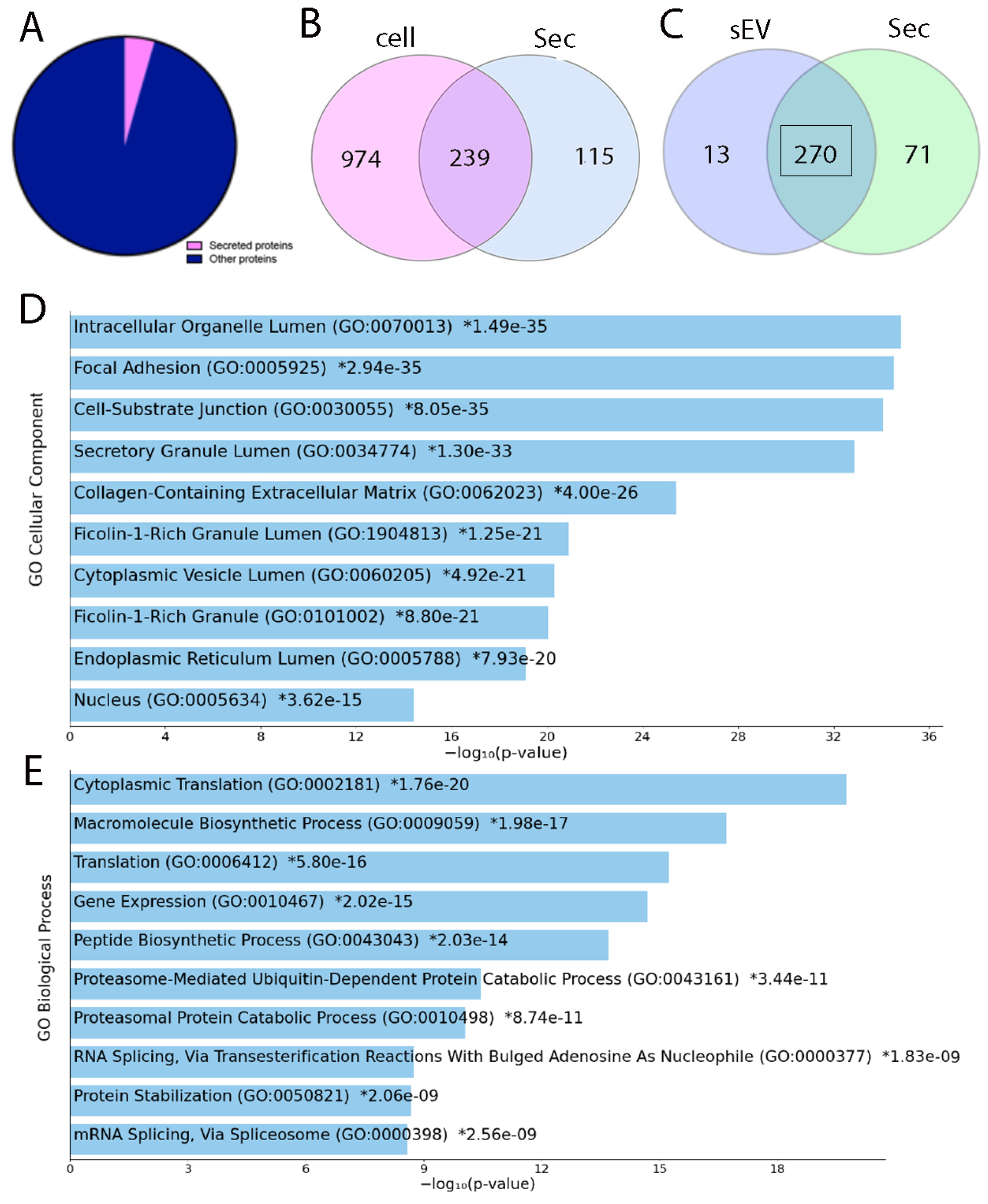 Bioengineering 12 00096 g002