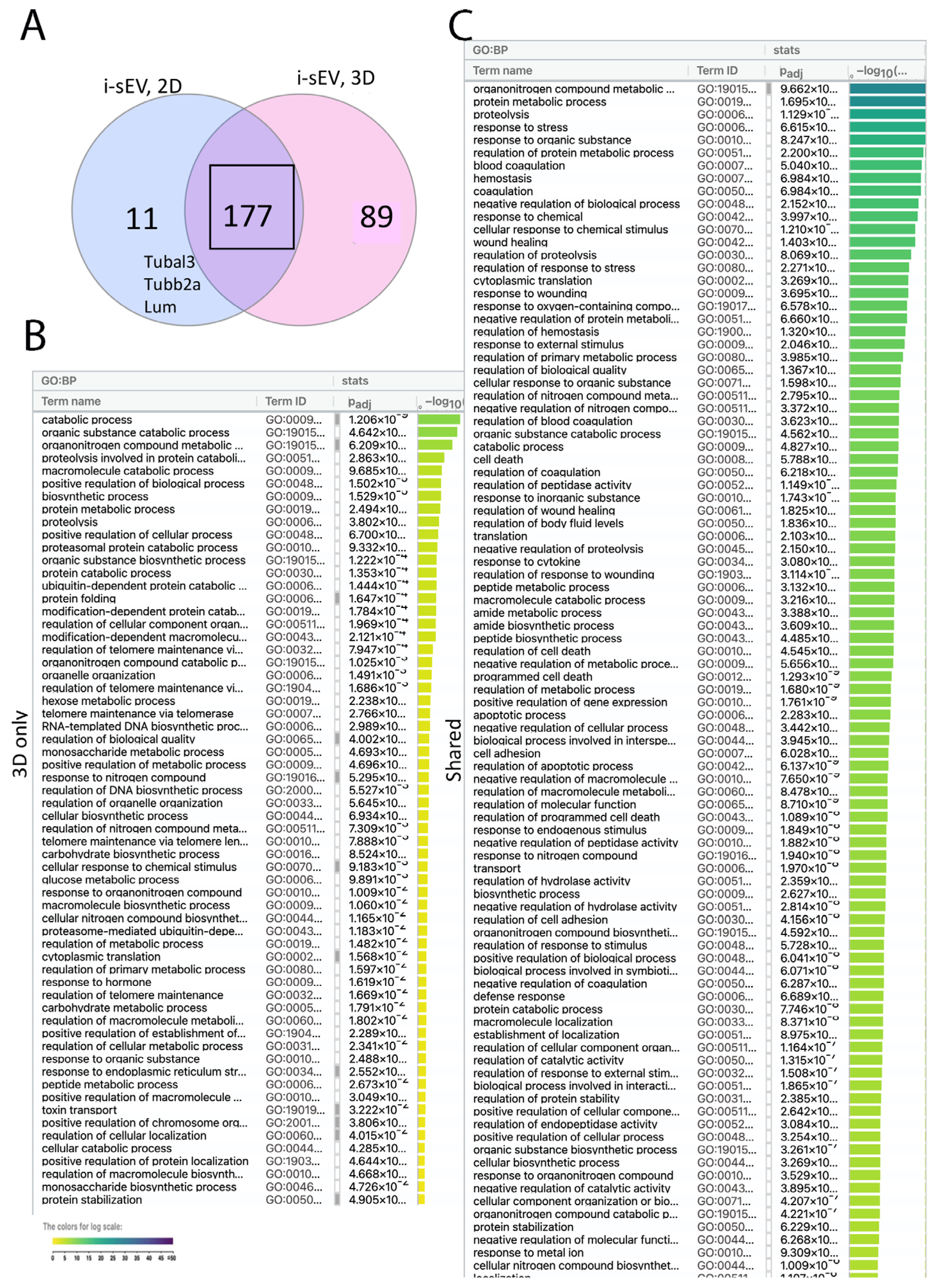 Bioengineering 12 00096 g003