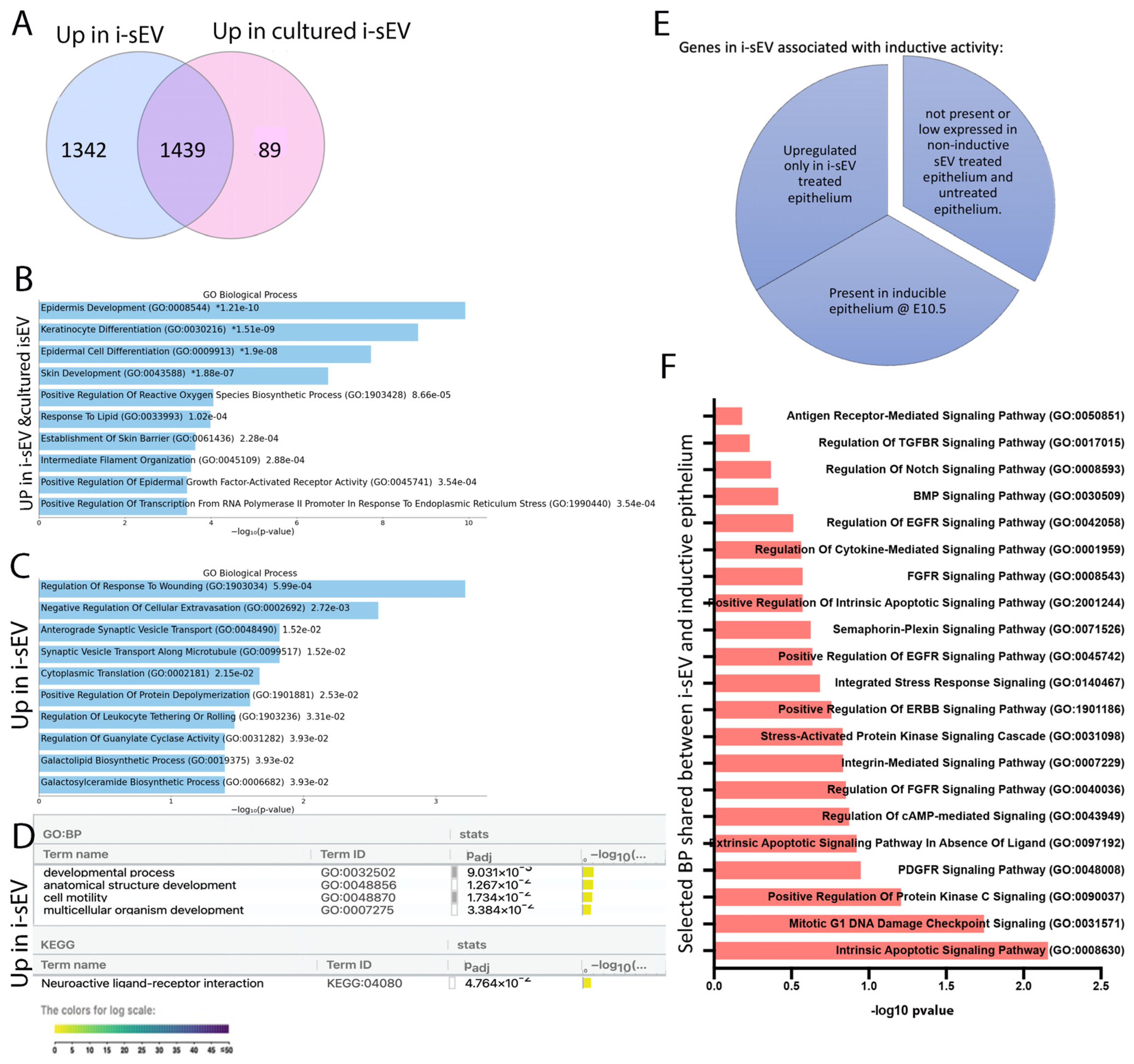 Bioengineering 12 00096 g005