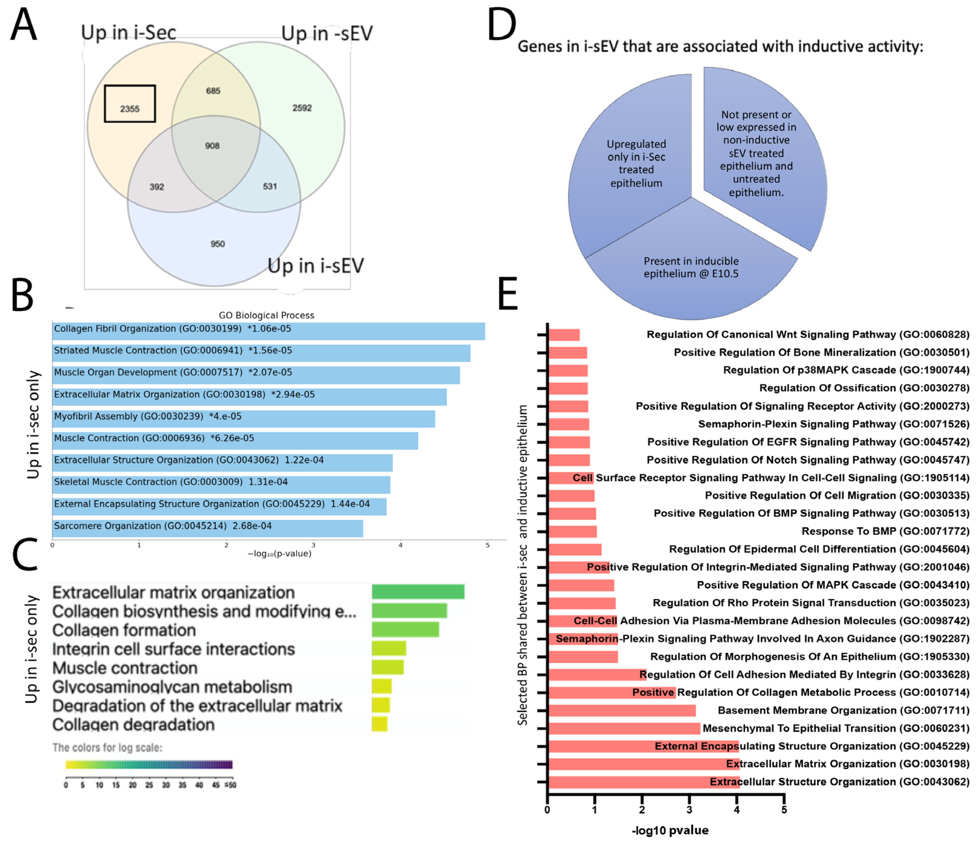 Bioengineering 12 00096 g006