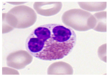 Bioengineering 12 00098 i003