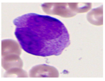 Bioengineering 12 00098 i008