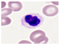 Bioengineering 12 00098 i012