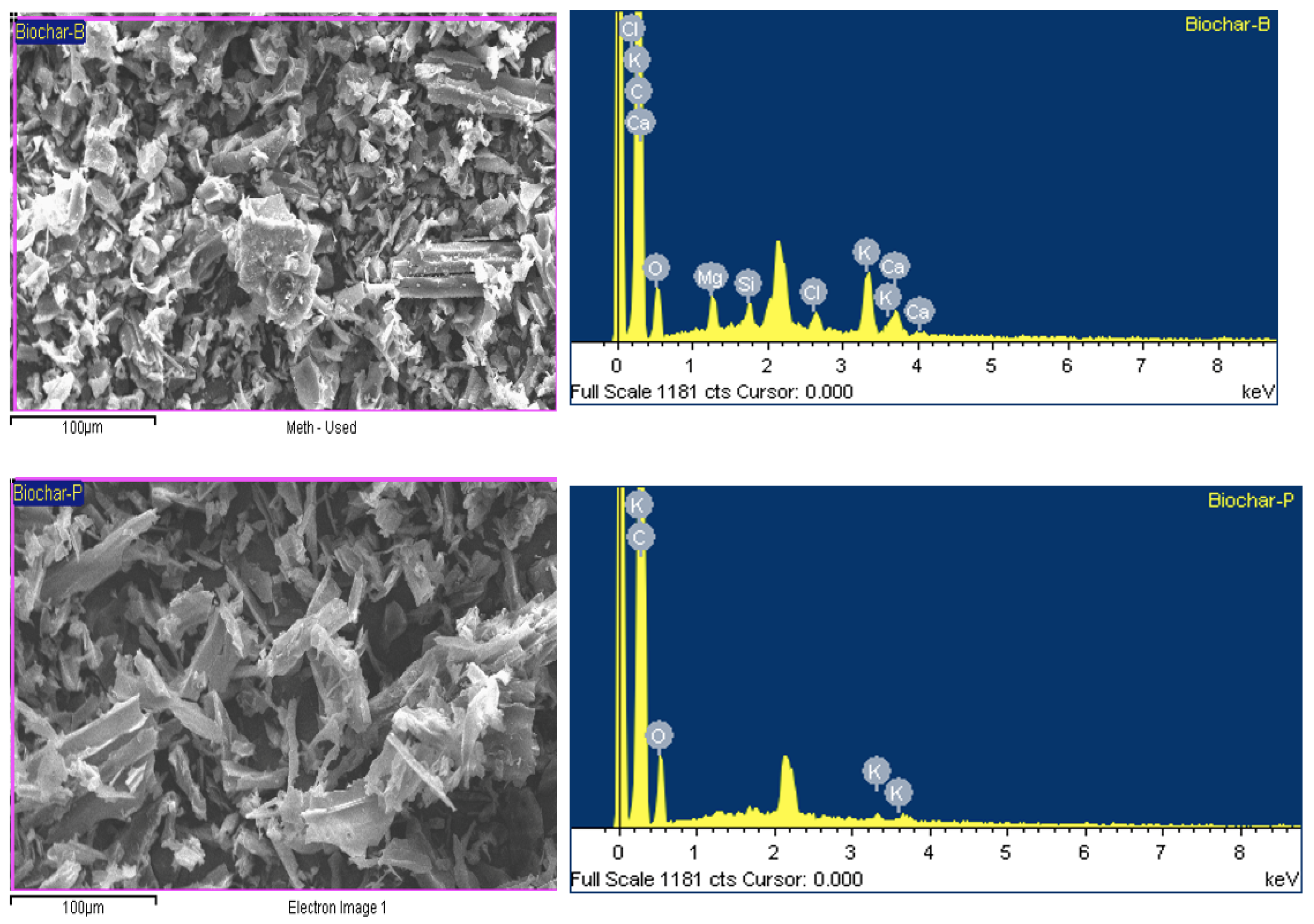 Bioengineering 12 00099 g009