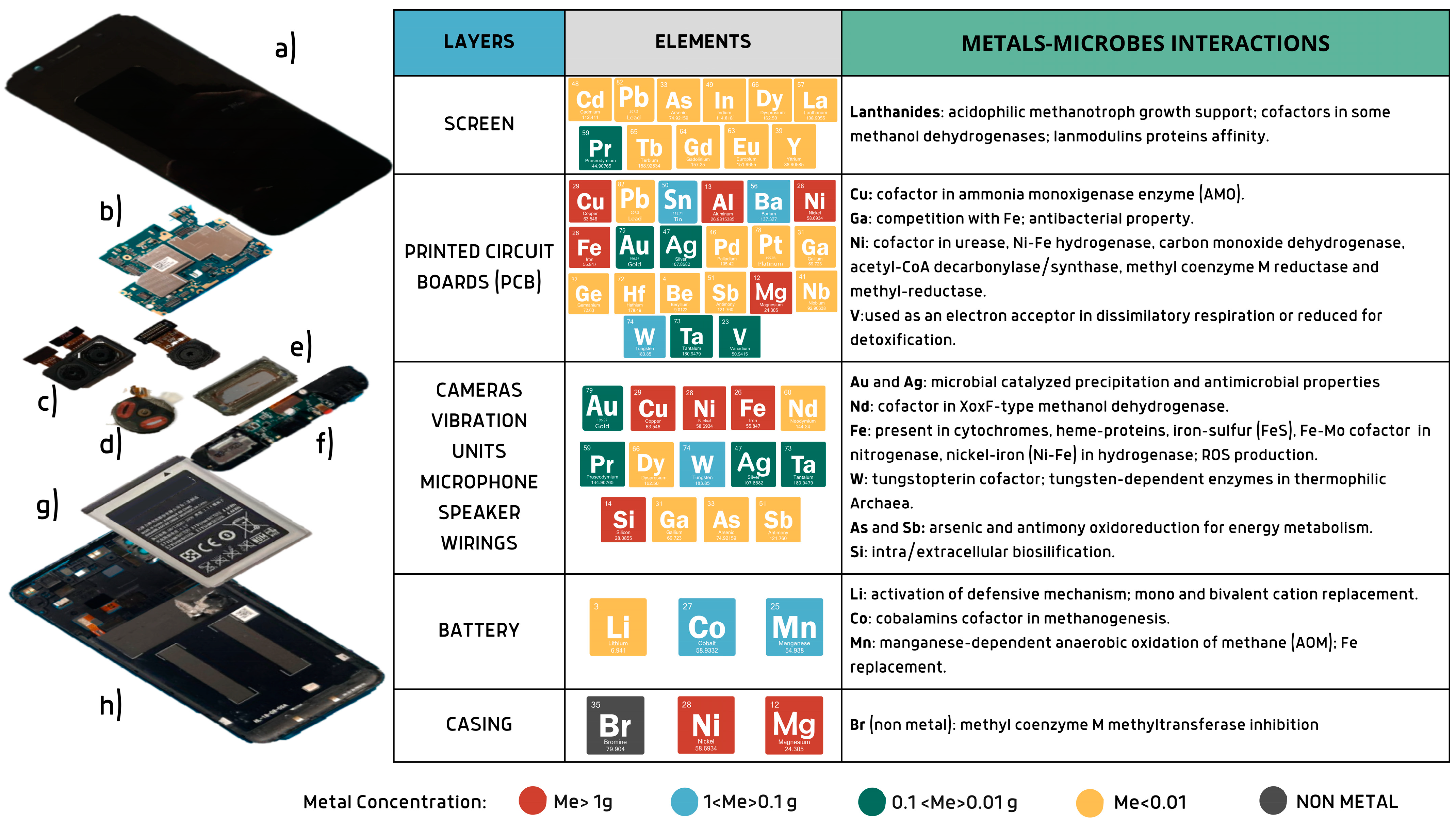 Bioengineering 12 00101 g001