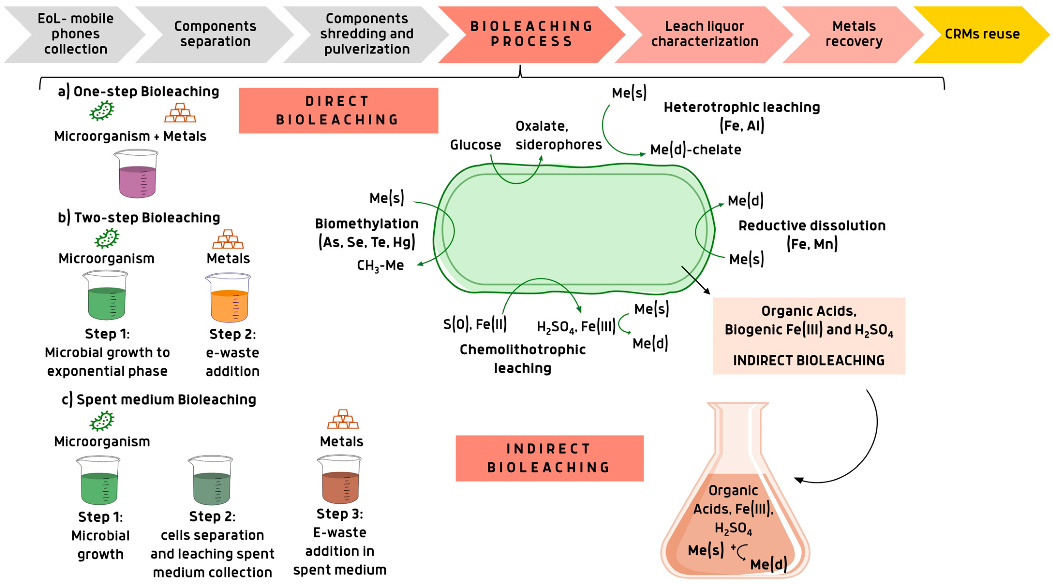 Bioengineering 12 00101 g003
