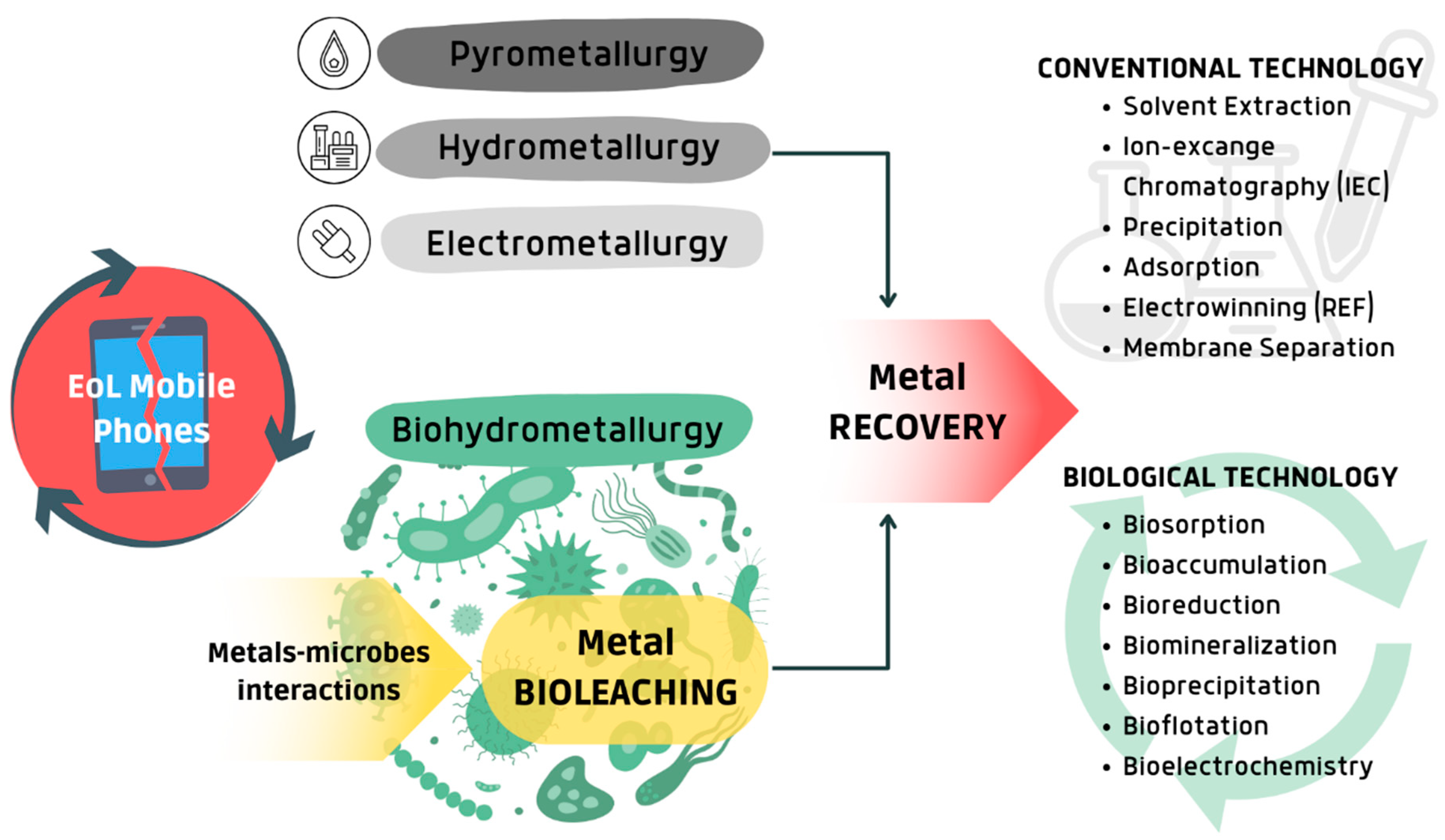 Bioengineering 12 00101 g004
