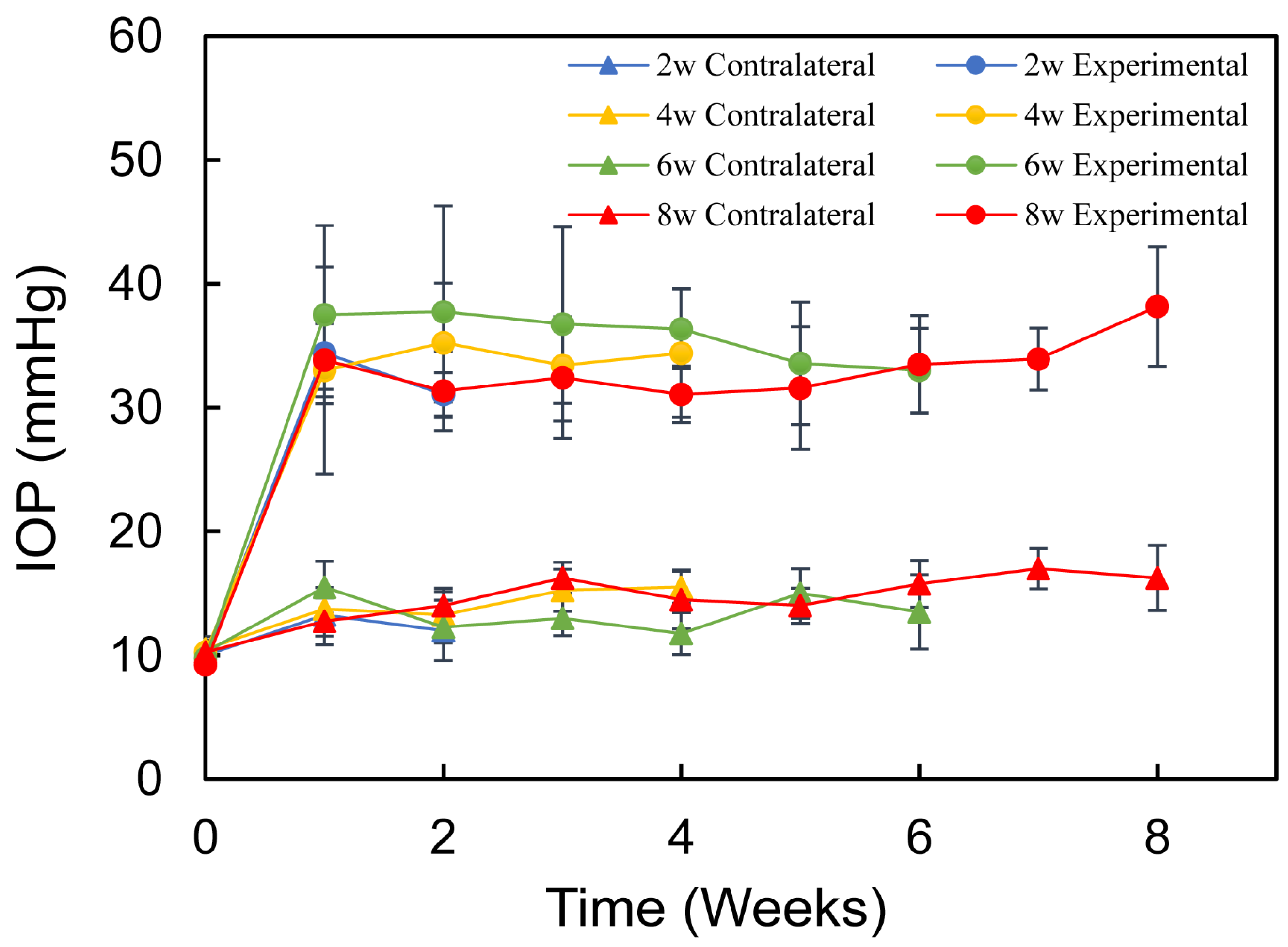 Bioengineering 12 00104 g001