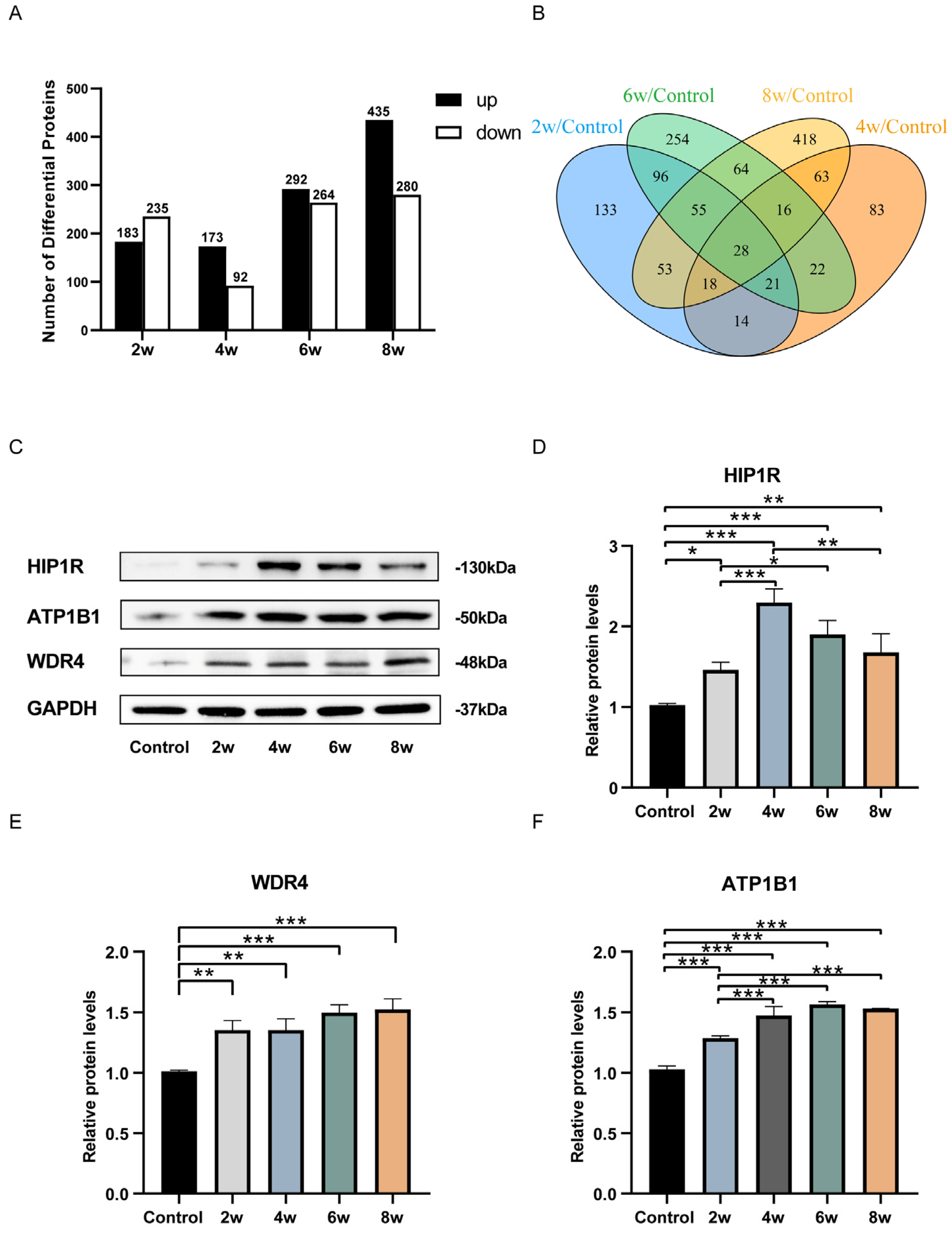 Bioengineering 12 00104 g005