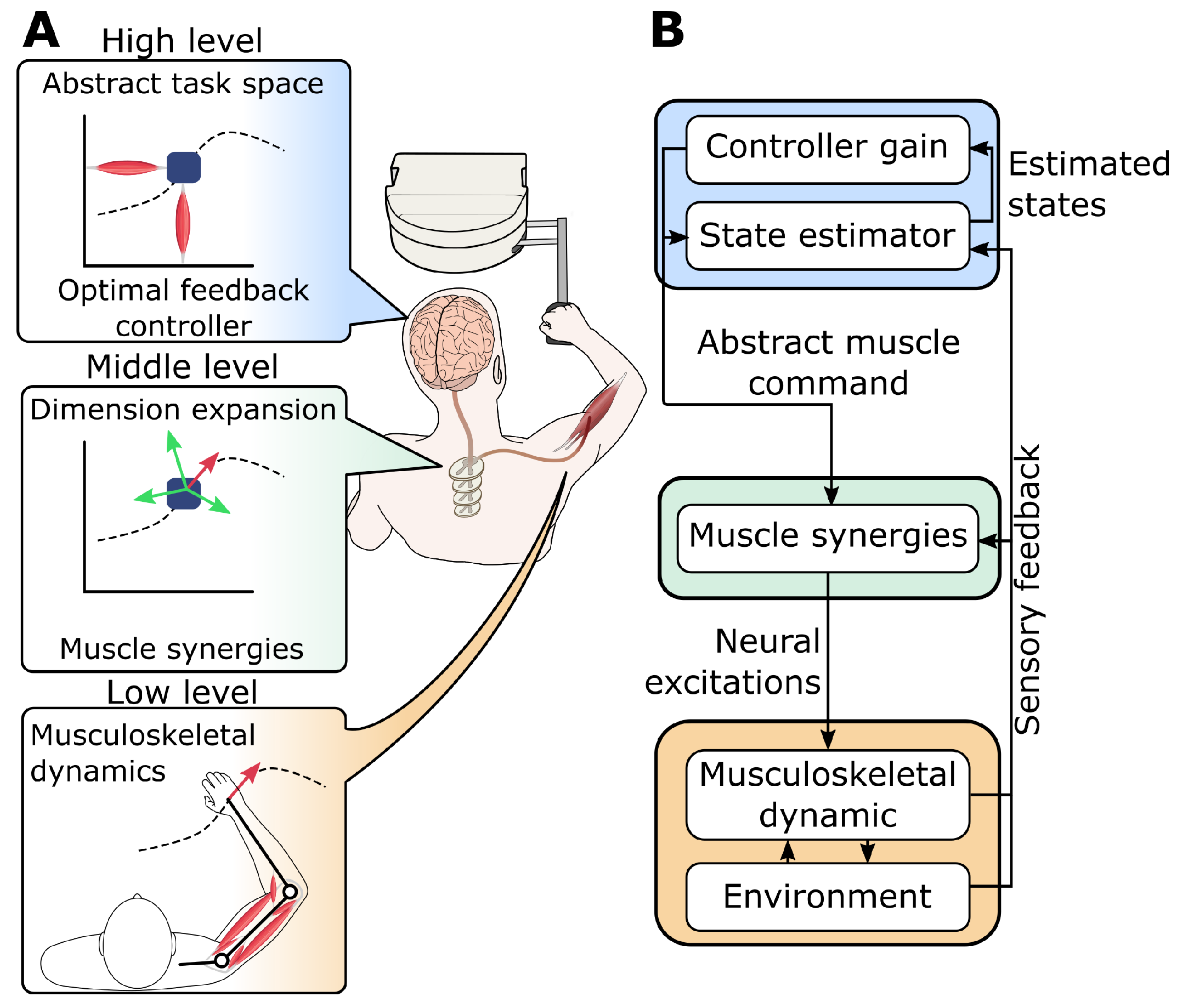 Bioengineering 12 00107 g002
