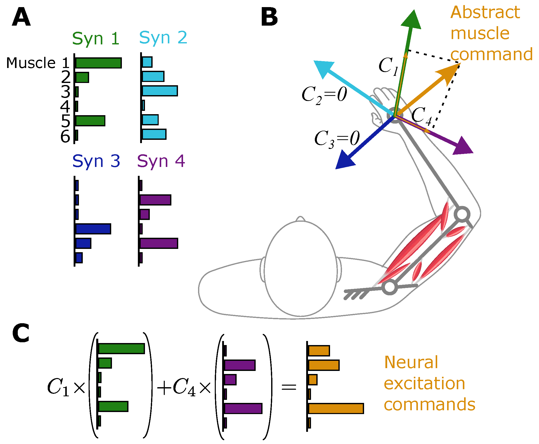 Bioengineering 12 00107 g004