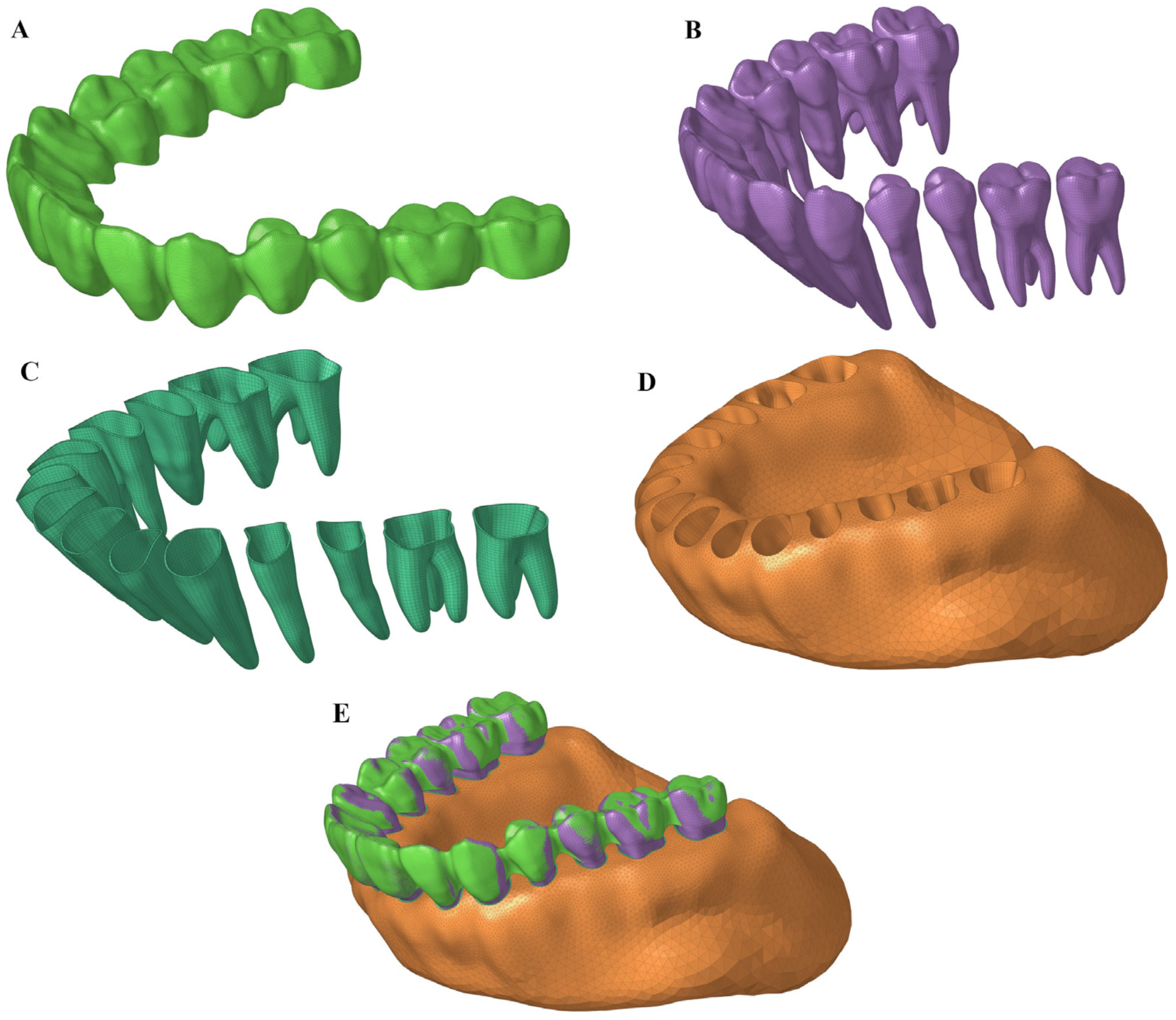 Bioengineering 12 00110 g004